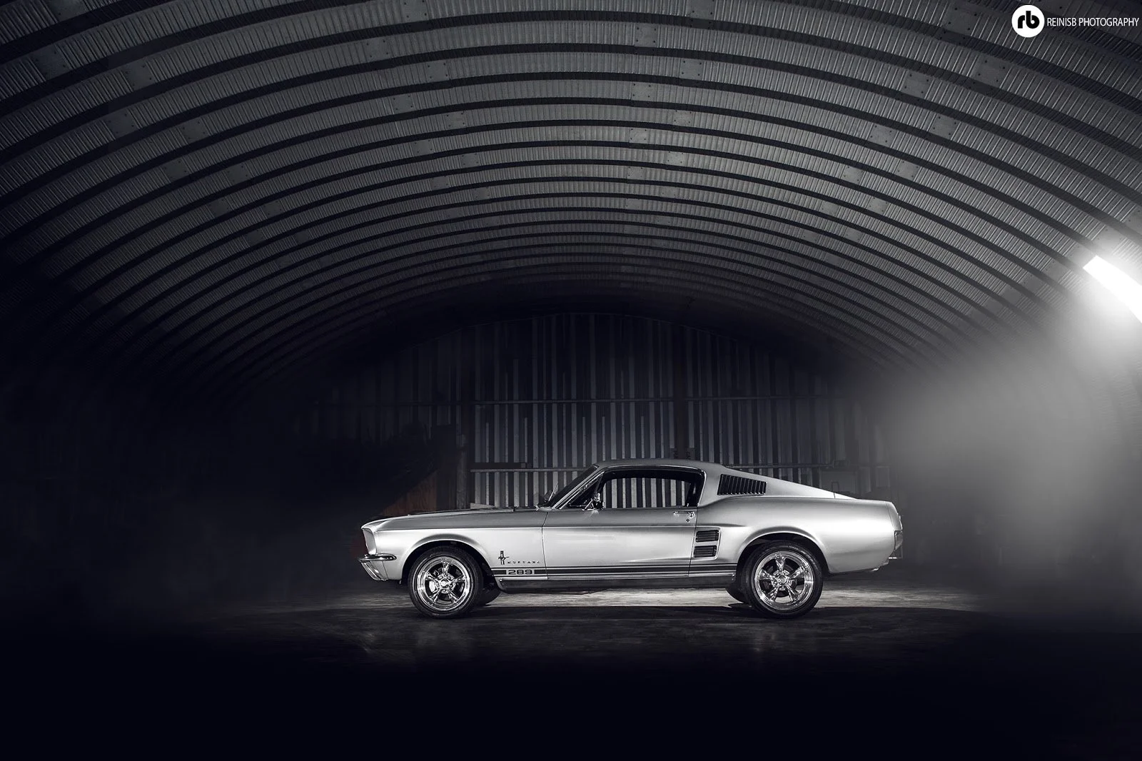 mustang-1.jpg