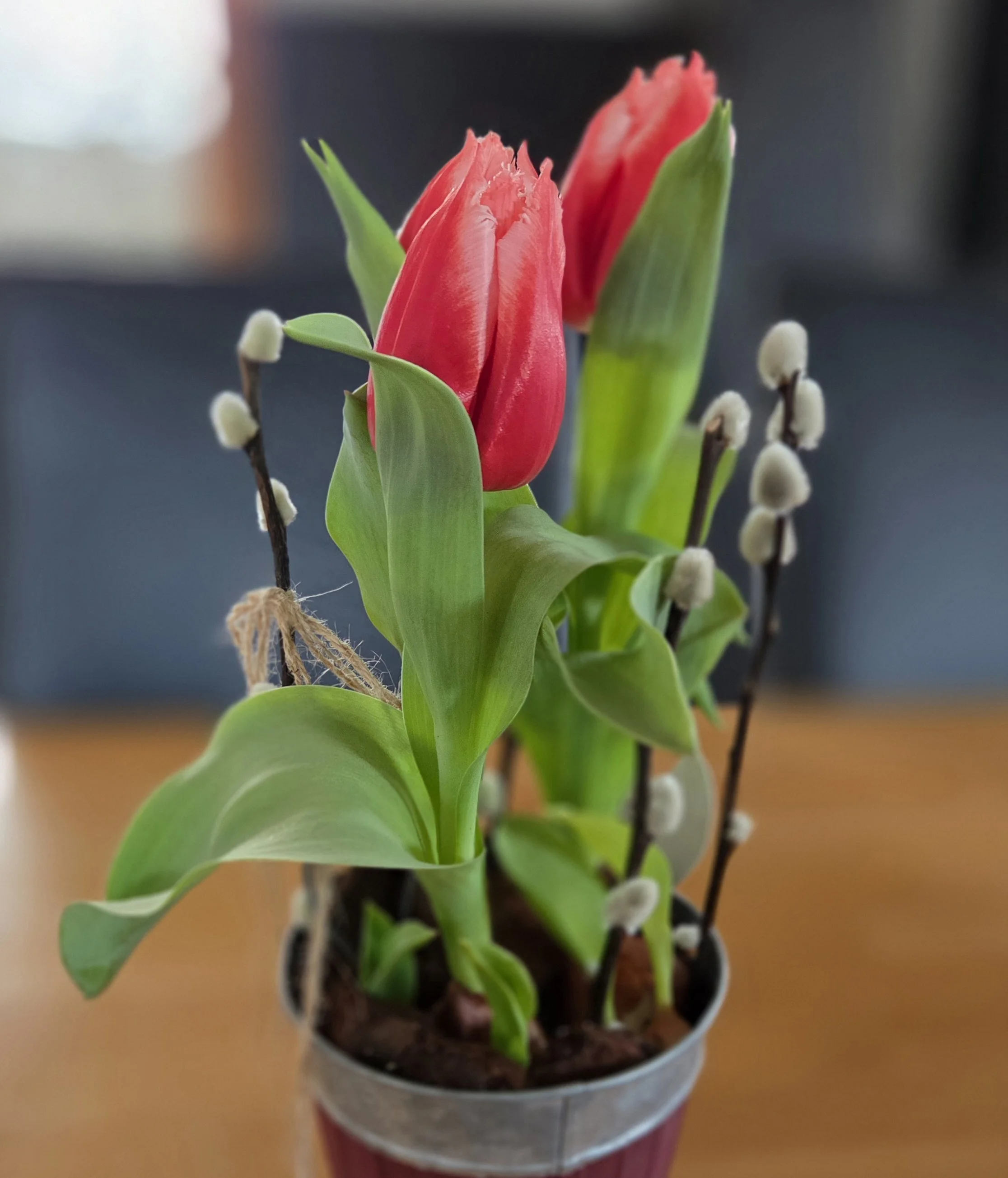 Sei Du die Blume, die Ästhetik und das Leben. Sei die Einzigartige, "the One" und verbreite diesen Vibe.