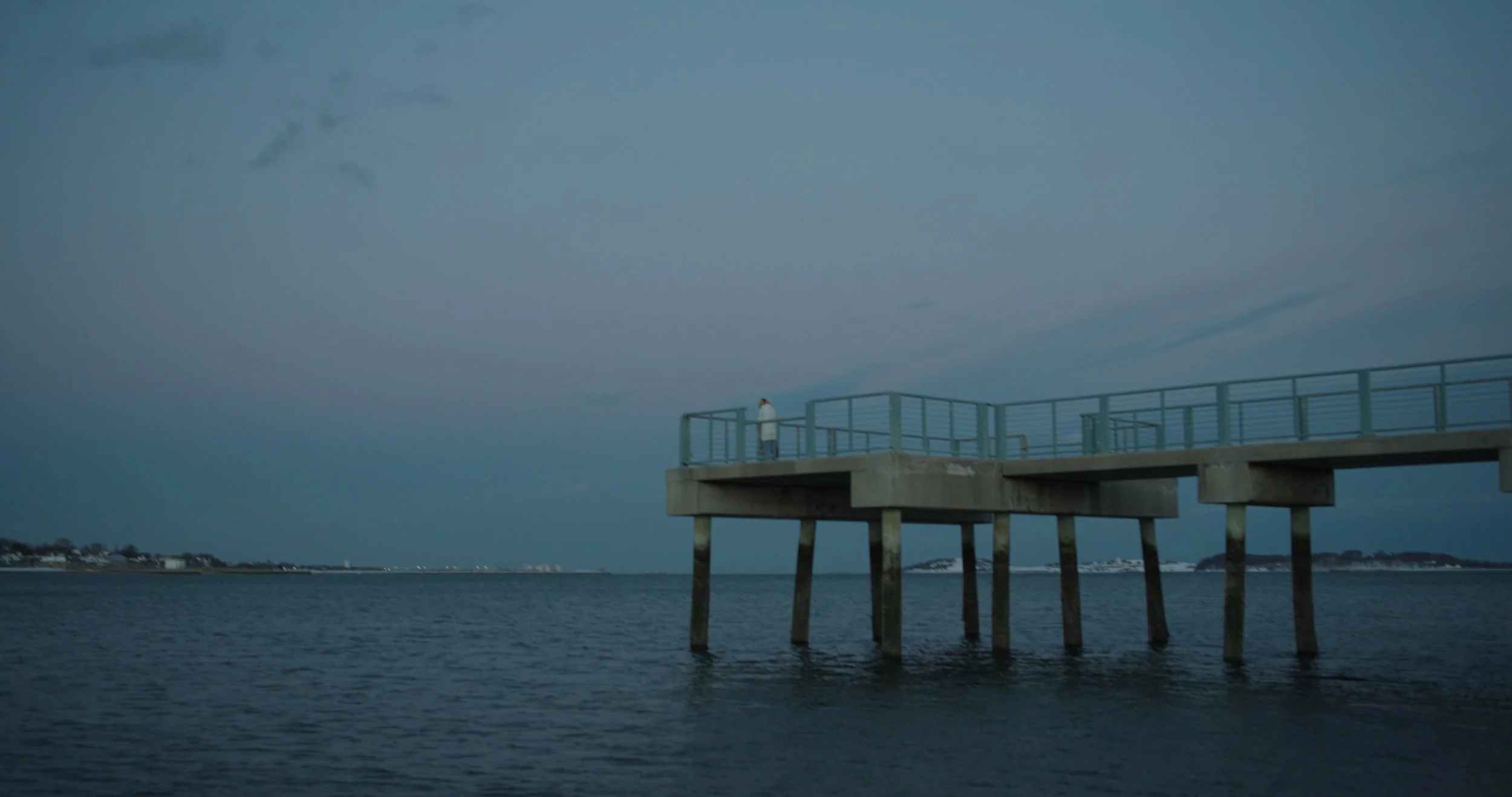 A person in a white coat stands on a pier overlooking the water, with an overcast sky and distant shoreline in the background.