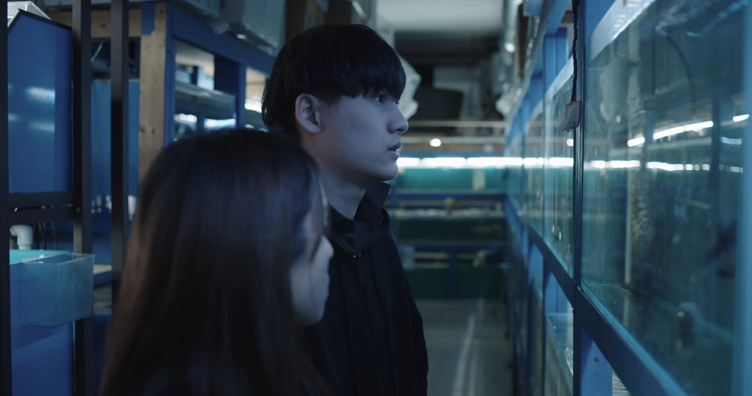 A young man and woman looking at fish tanks in a store.