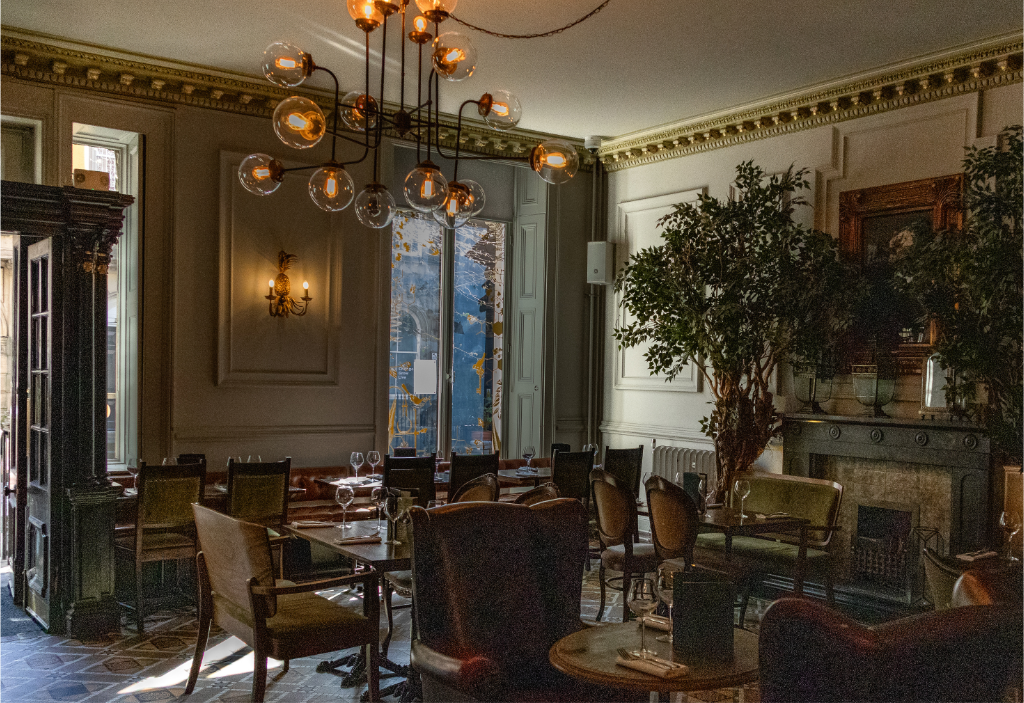 Elegant dining room with a chandelier, large plants, and classic furniture.
