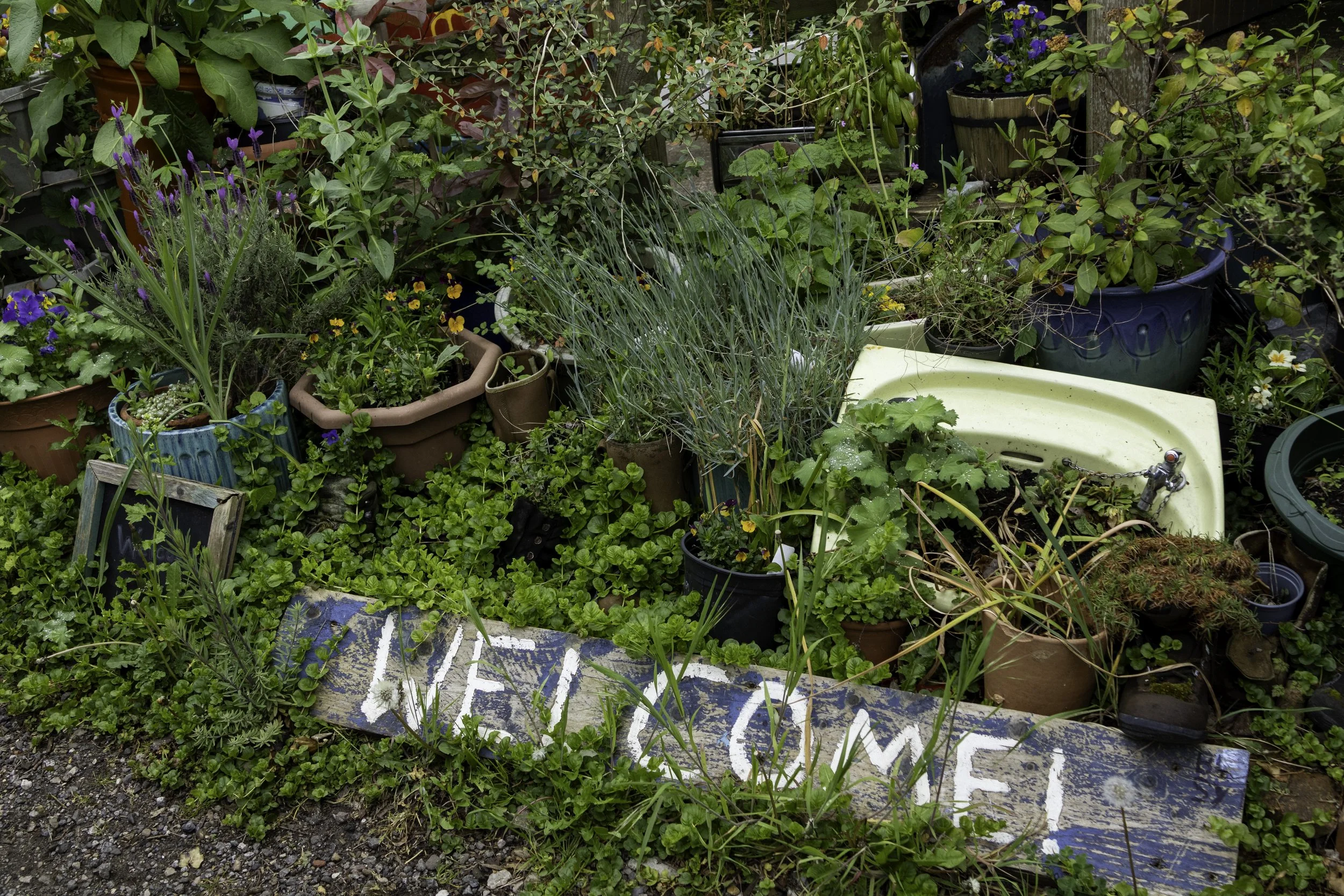 Windmill Community Gardens