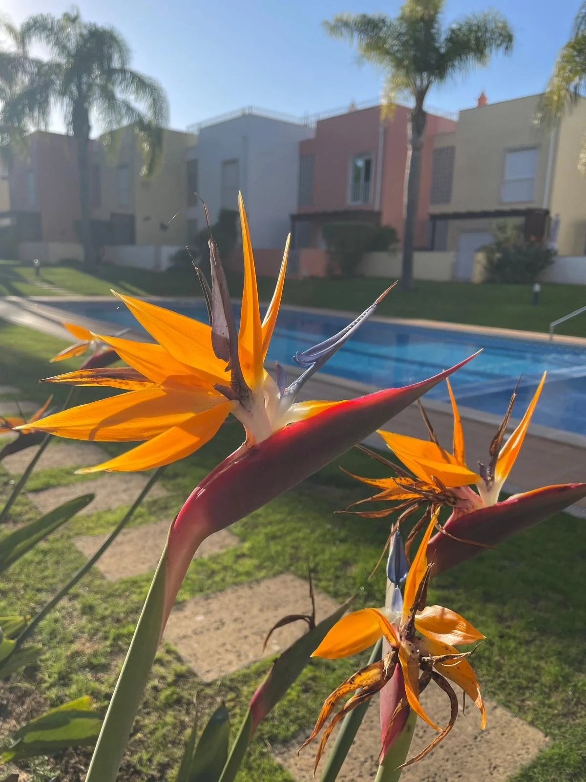 WhatsApp Image 2025-01-17 at 20.29.51_50e89f80.jpg