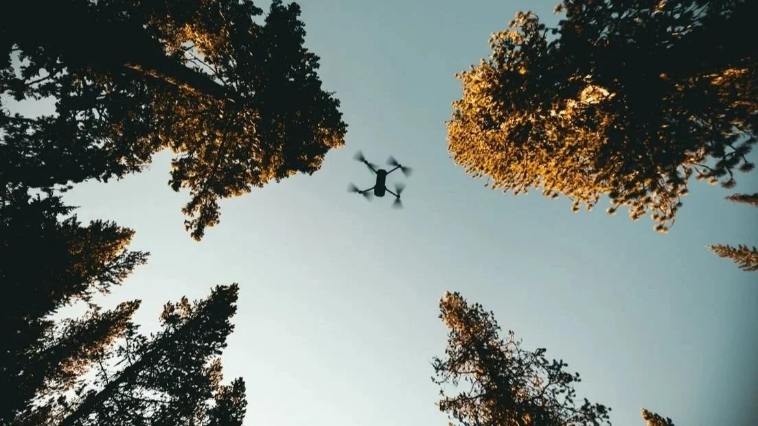 Drone flying in the sky above trees with green and orange leaves during sunset.