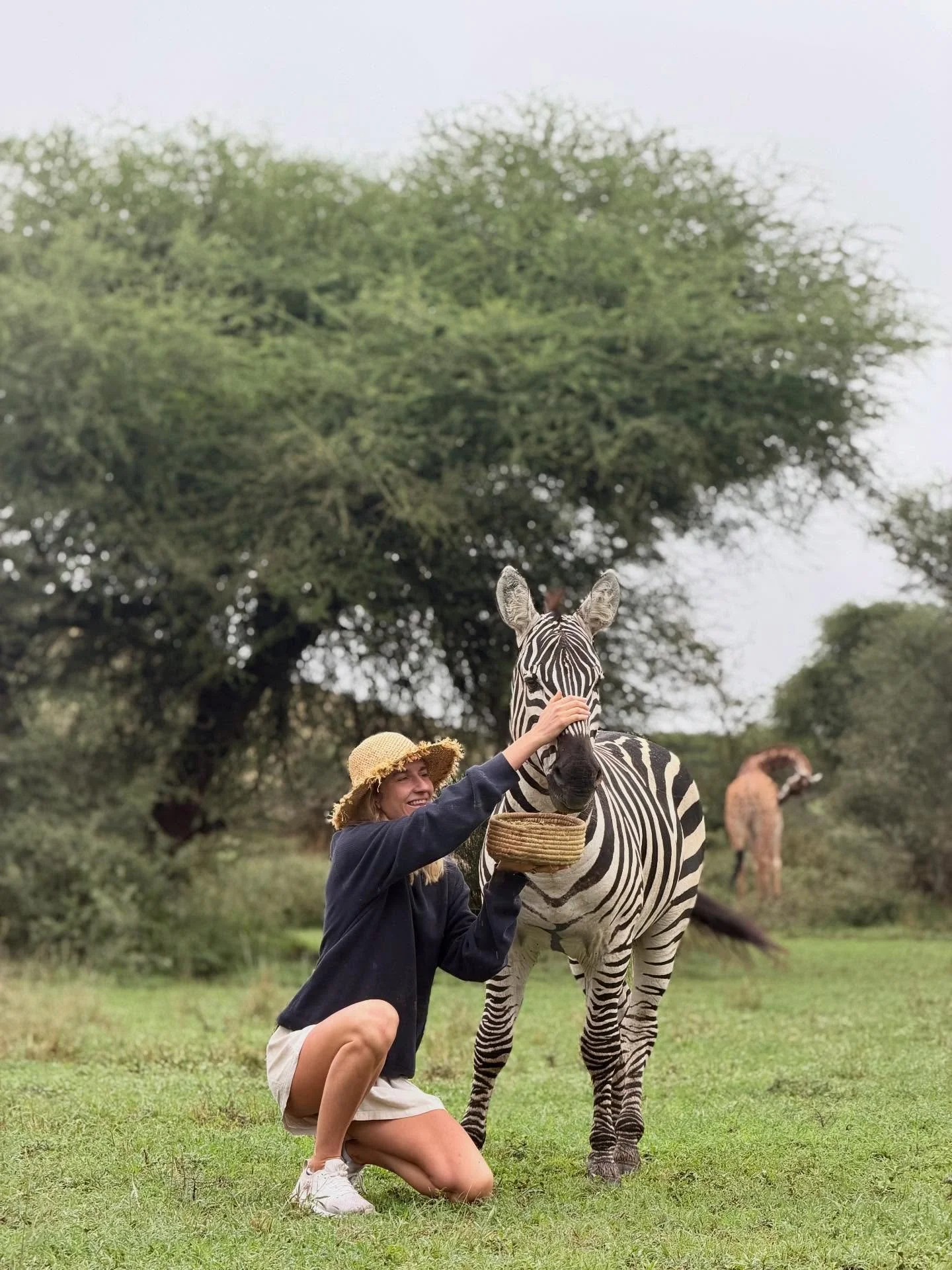 I grew up in Tanzania, spending much of my childhood in the bush, in places that felt quiet, expansive, and grounding all at once.

That way of experiencing the world stayed with me.

The Lilac Roller was created from that place, not as a retreat, bu