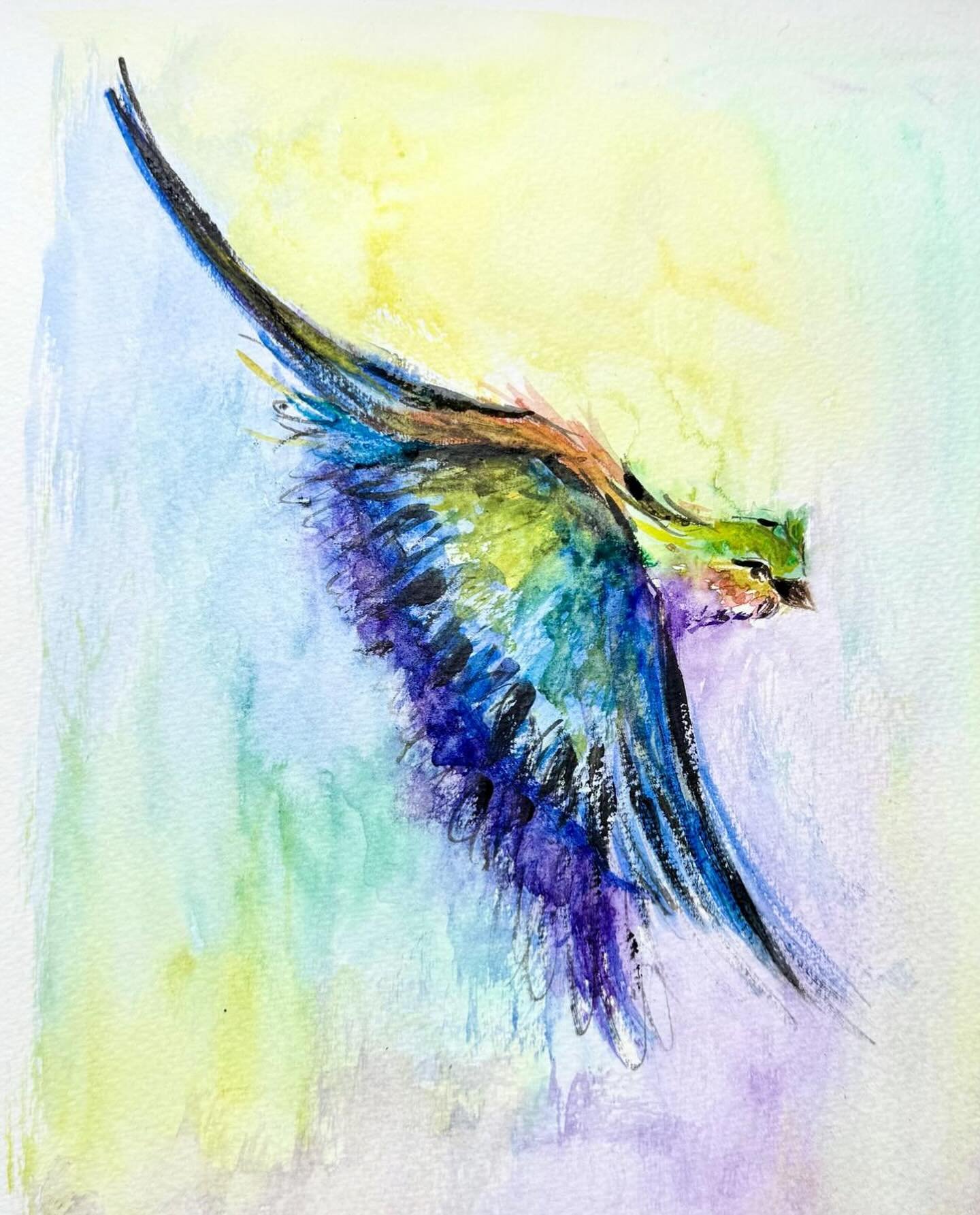 The Lilac Roller is a collection of privately hosted experiences in wild places.

Created to offer something slower, more considered, and intentionally small.

Each experience is shaped by the landscape, and for those who feel drawn to step away from