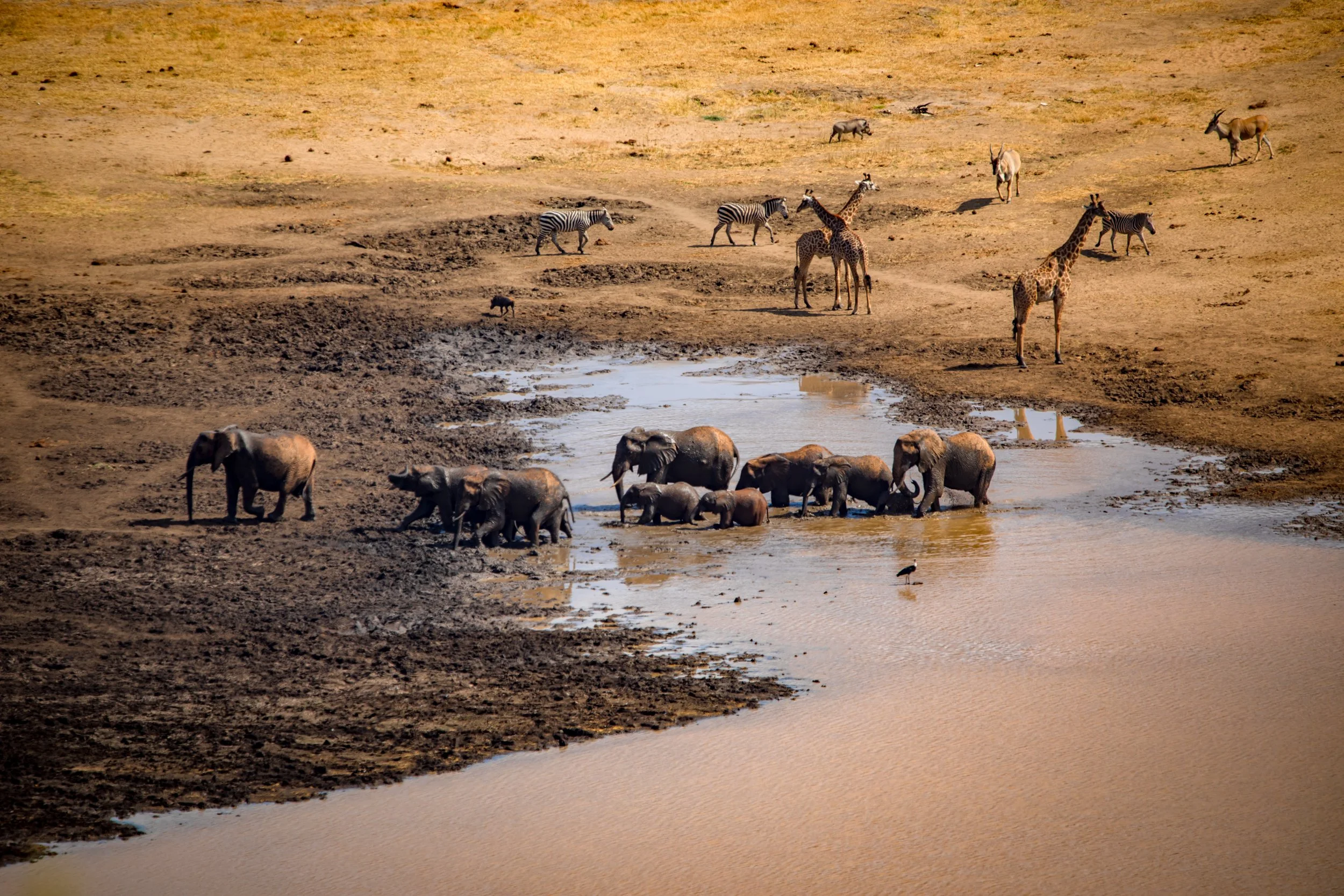 View Point.JPEG