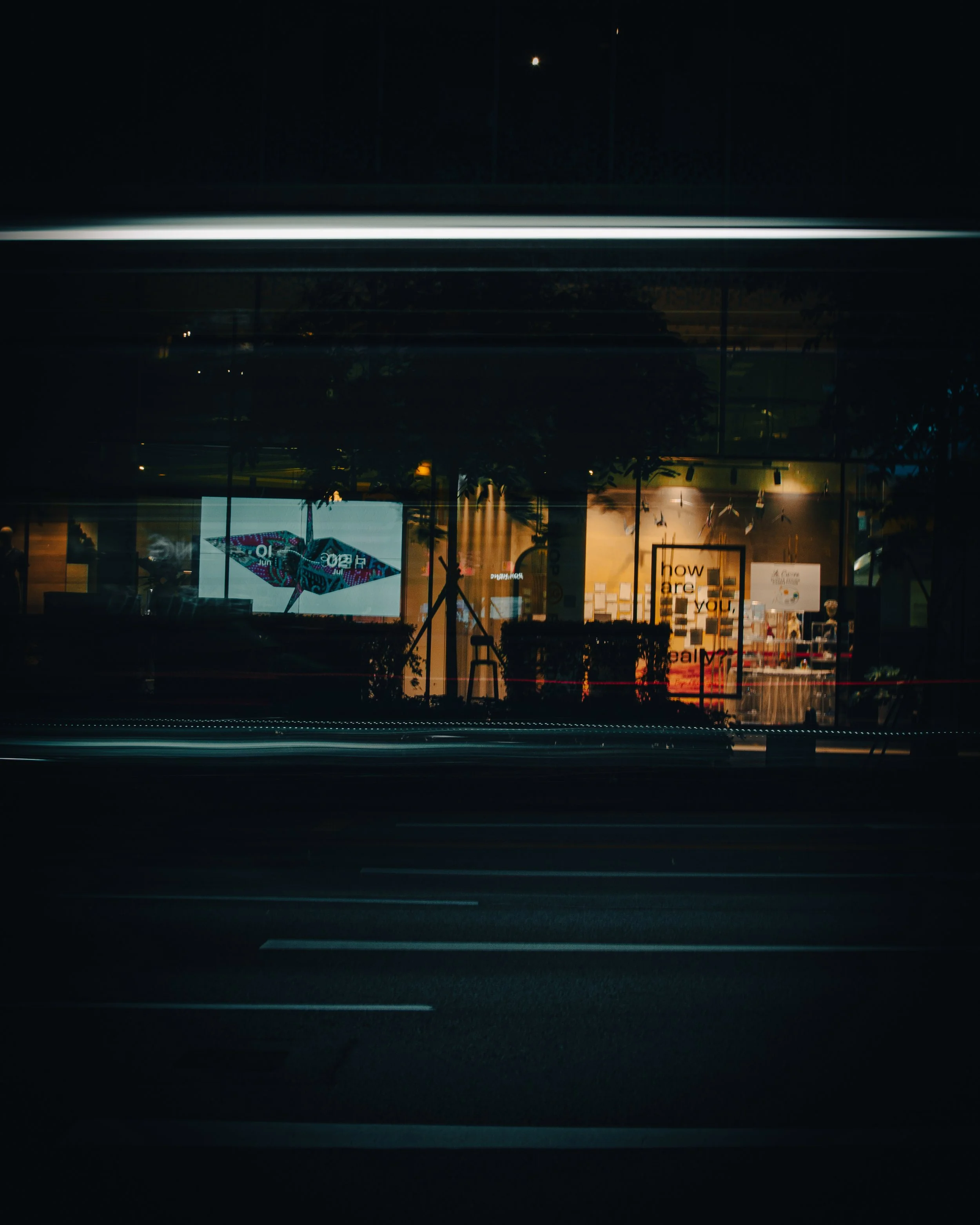 DSC_0391.jpg