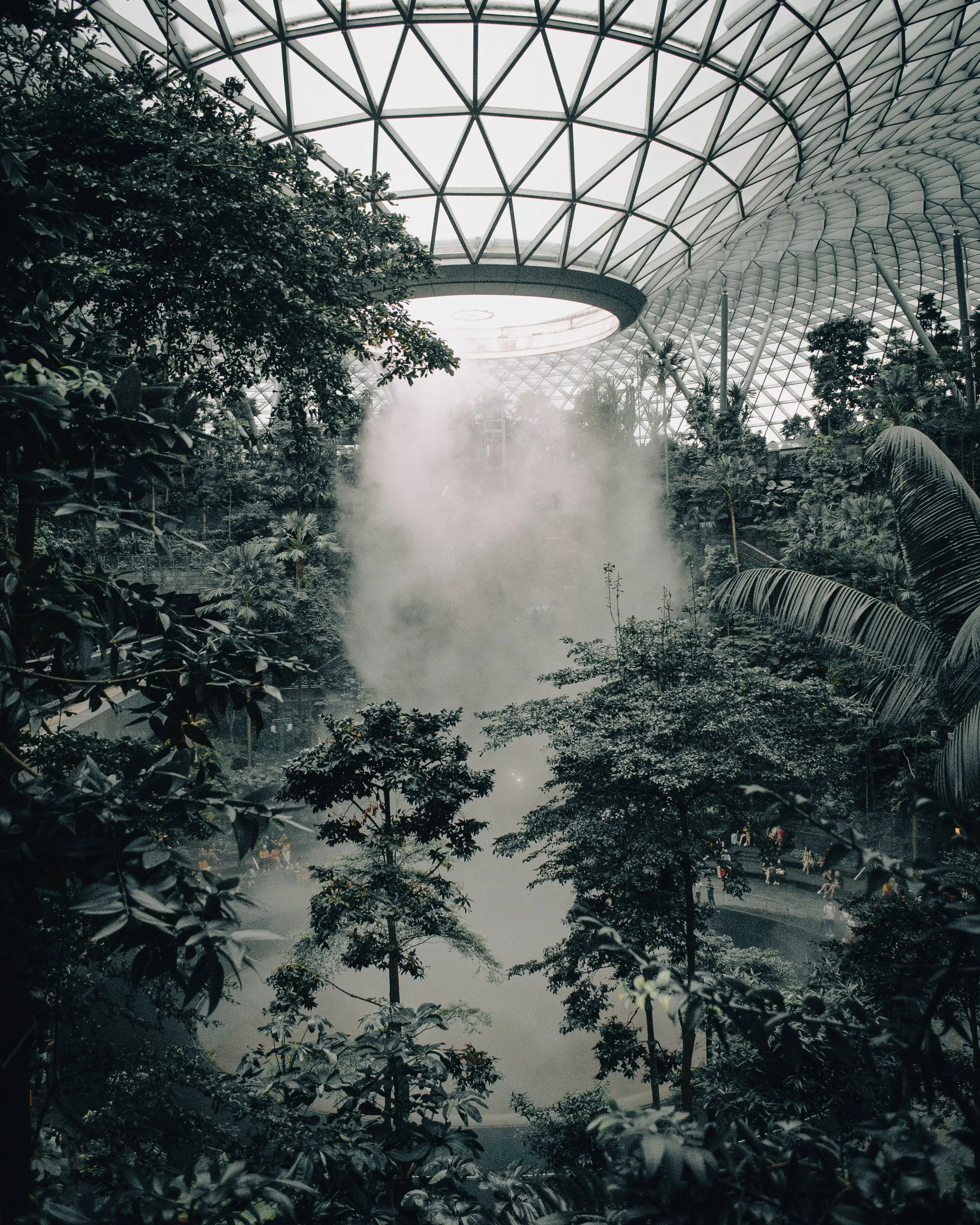 DSC_0823.jpg