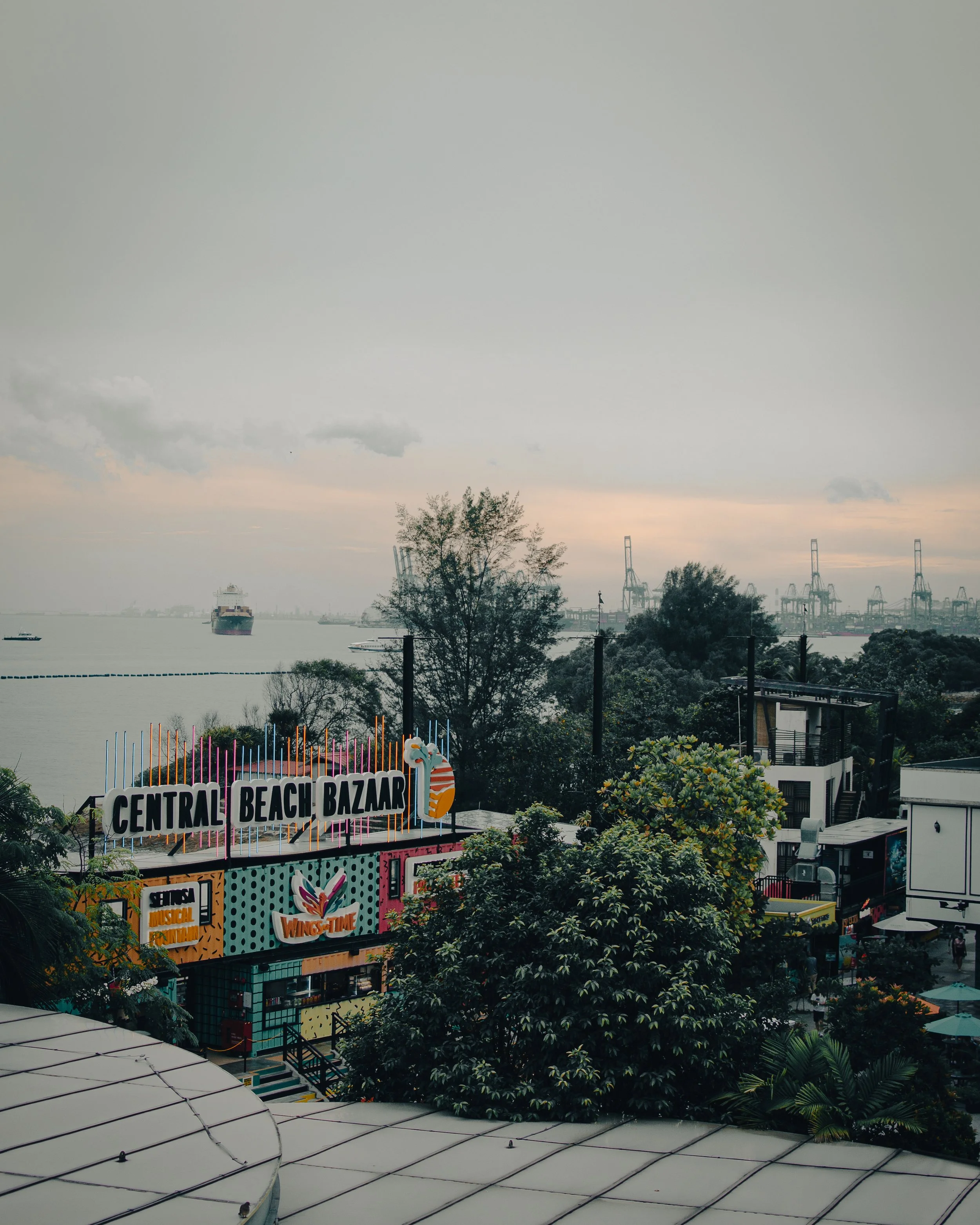 DSC_1006.jpg
