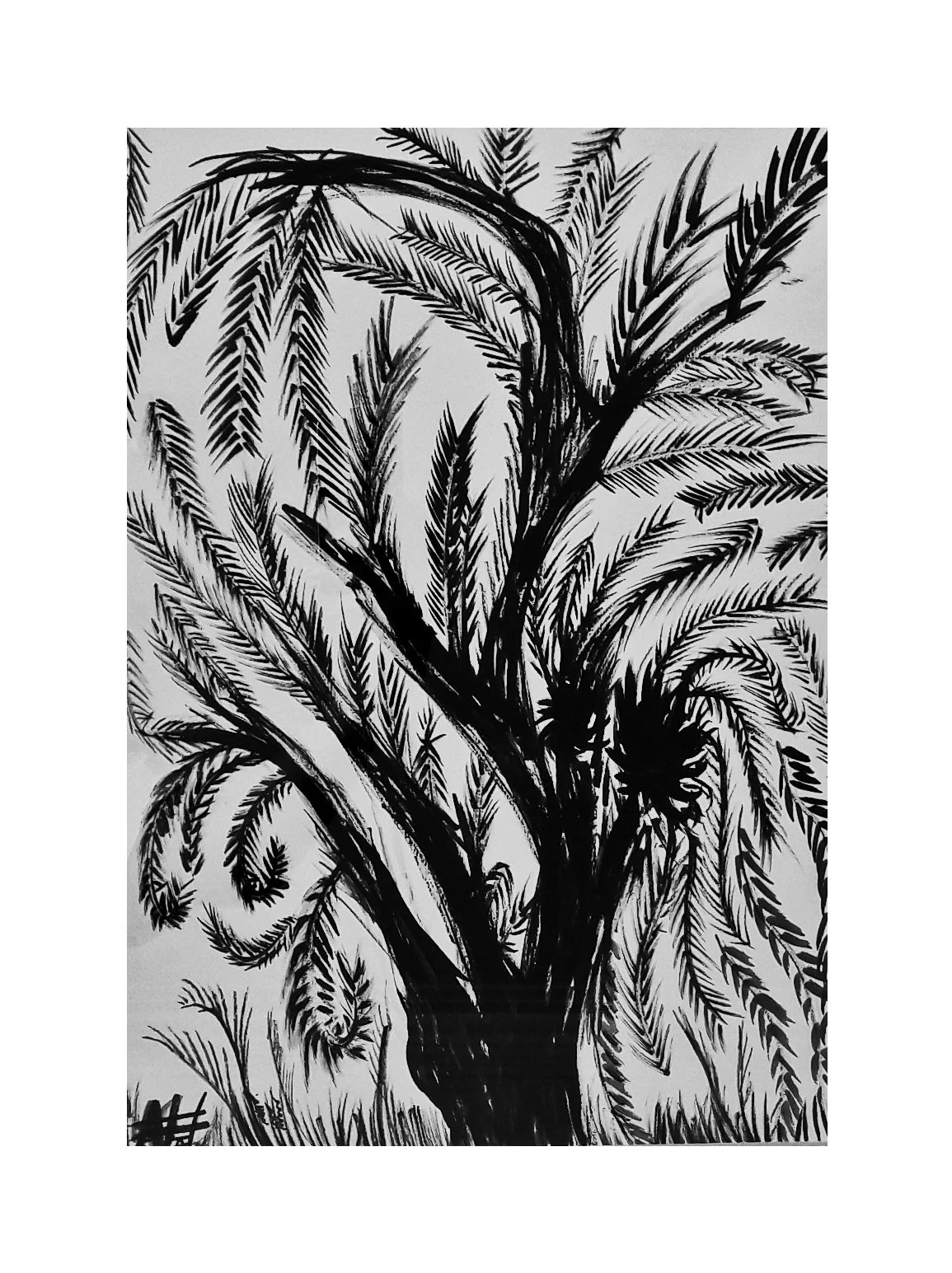 Tree / Indian ink on Paper / 40 x 30 cm / 2009 / SOLD