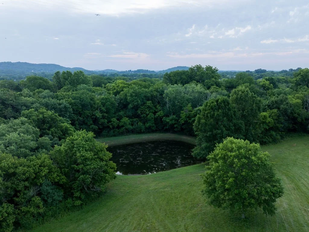 An Image of the Lower Pond