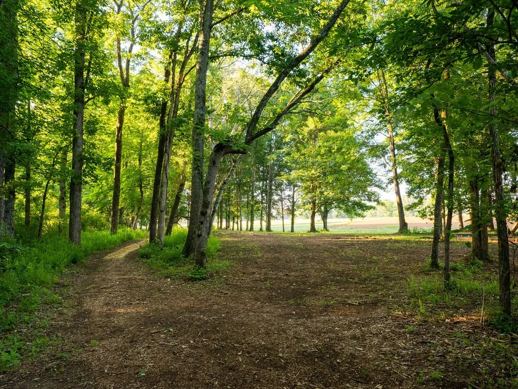 Harpeth Vale (109).jpg