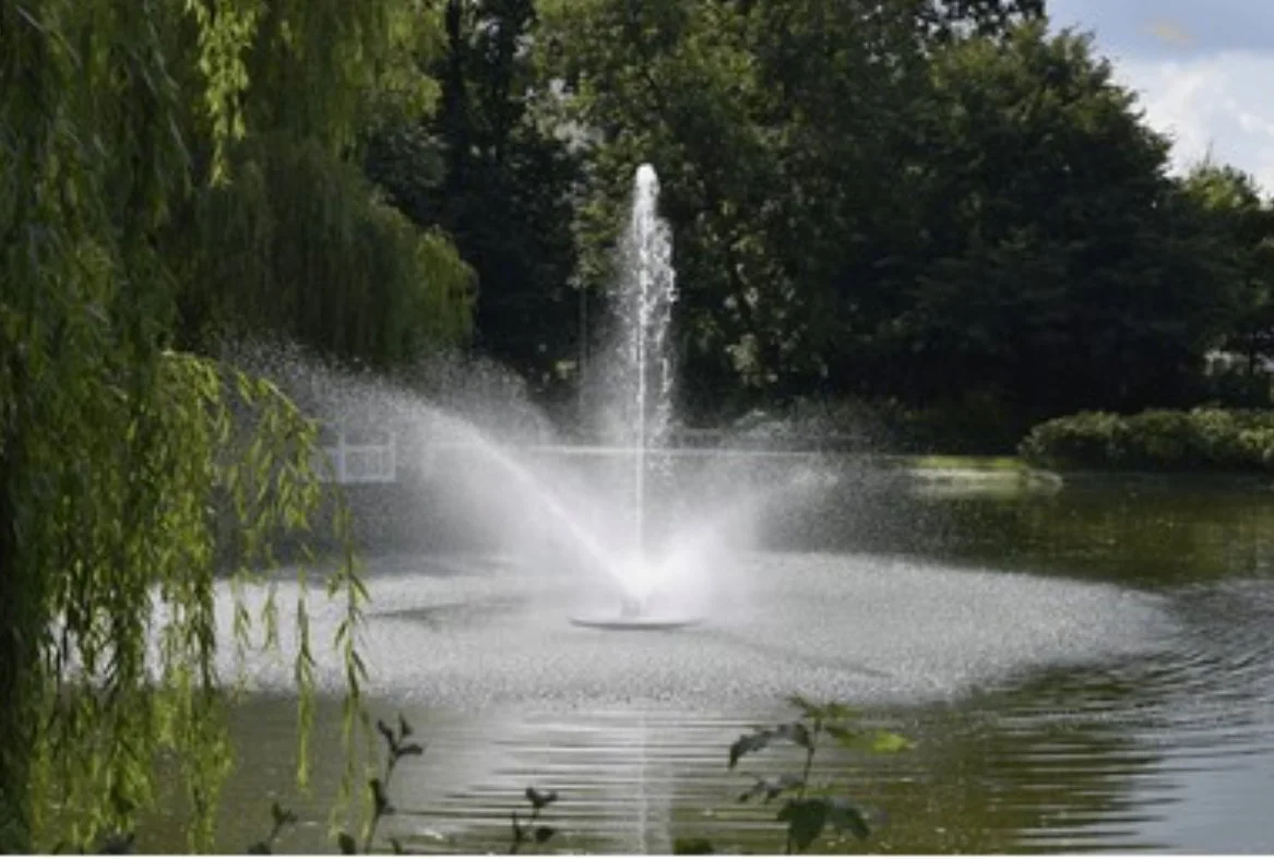 An Image of the Lower Pond