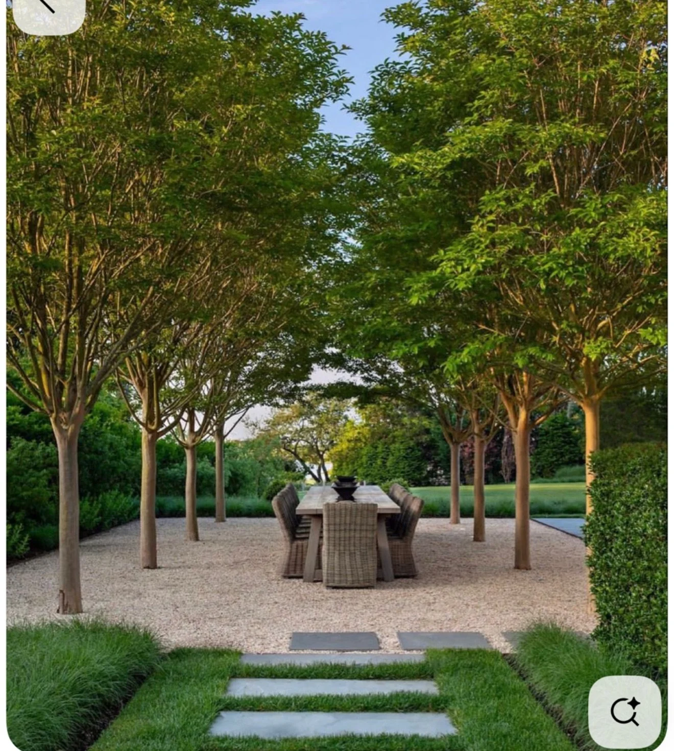 An image of The Orchard