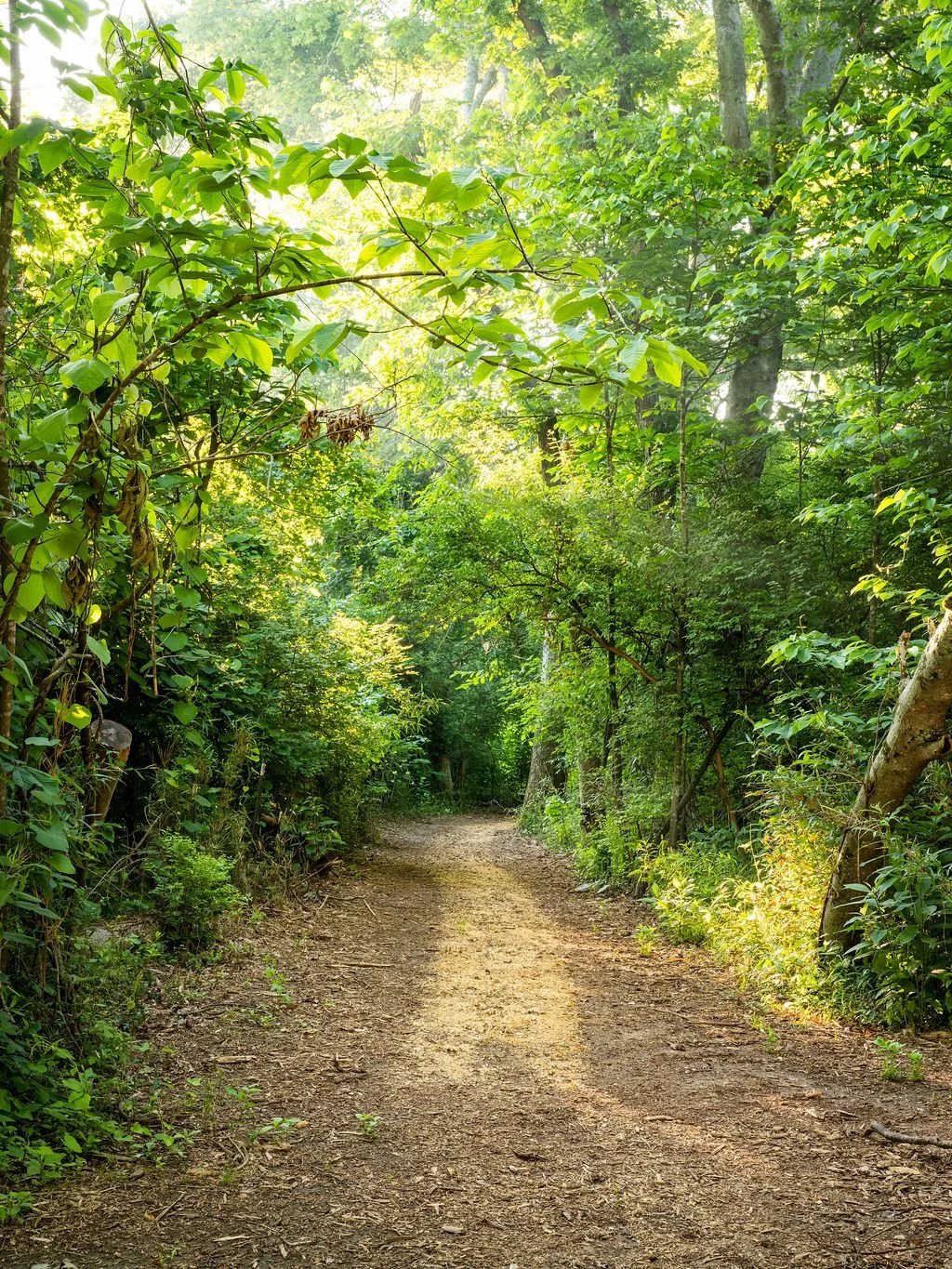 Harpeth Vale (112).jpg