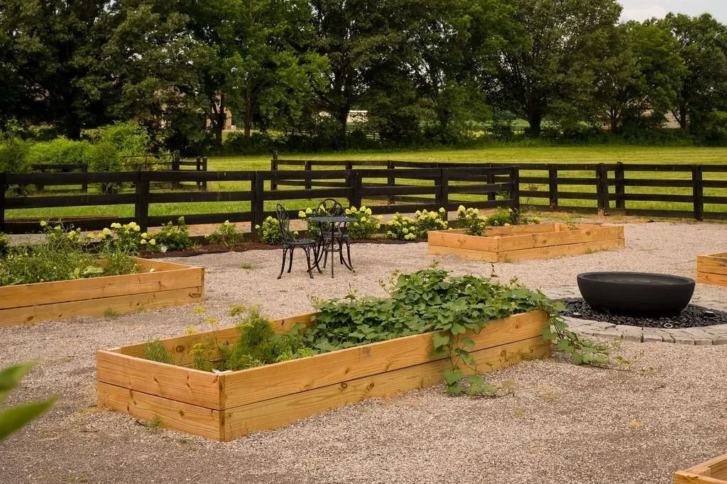 An Image of the Organic Garden