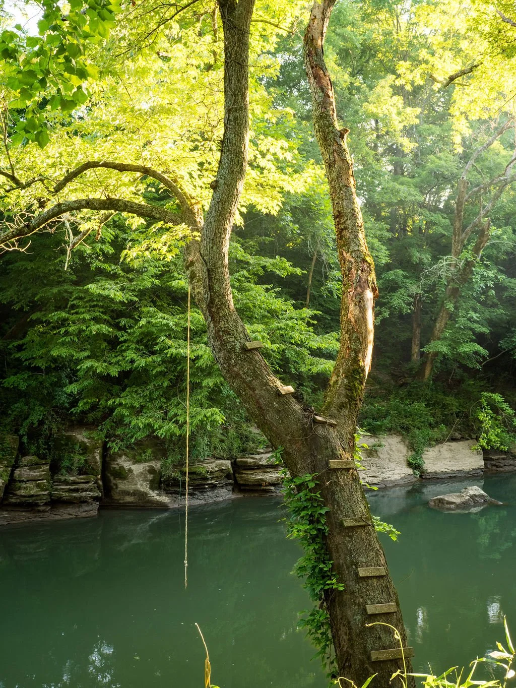 Harpeth Vale (111).jpg