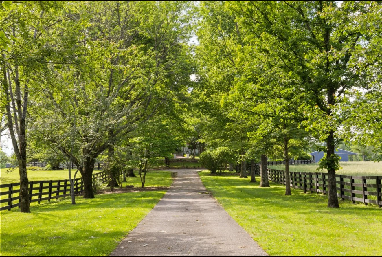 Driveway Image