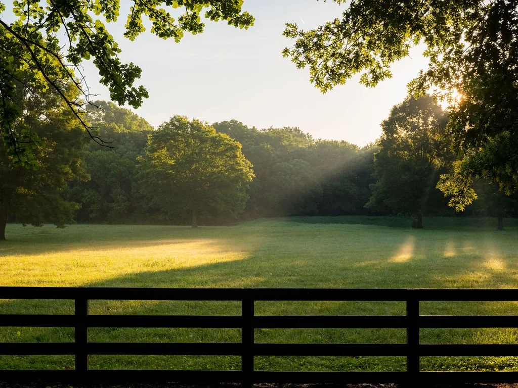 Harpeth Vale (52).jpg