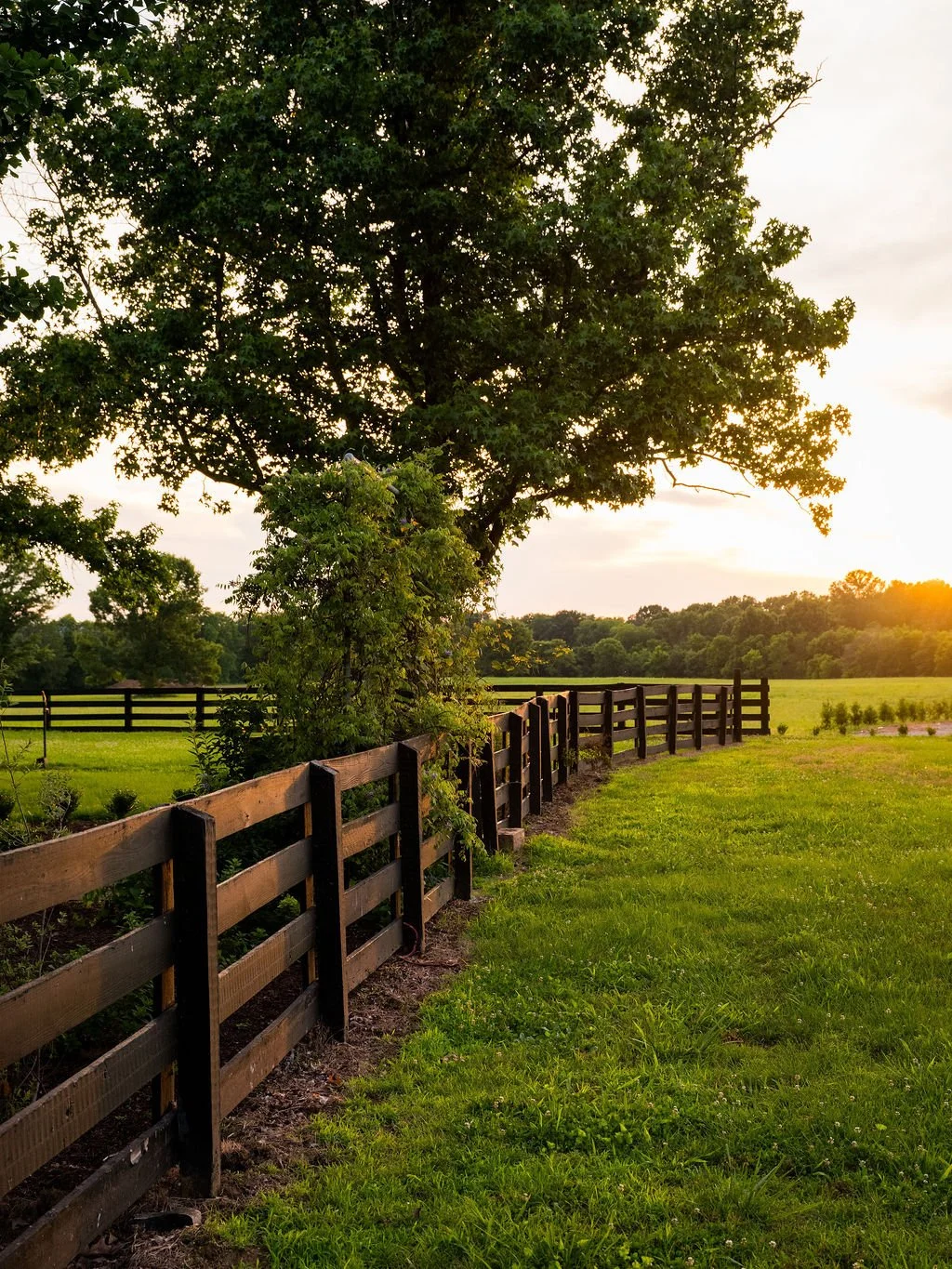 Harpeth Vale (84).jpg