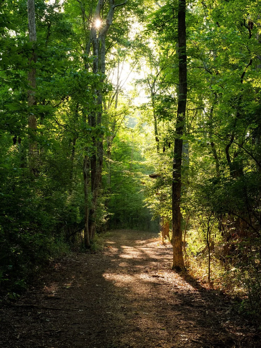 Harpeth Vale (104).jpg