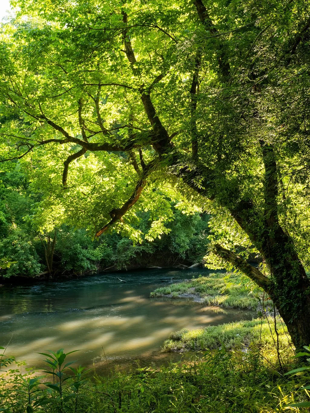 Harpeth Vale (97).jpg