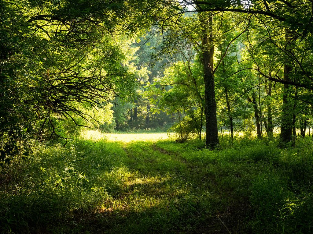 Harpeth Vale (106).jpg
