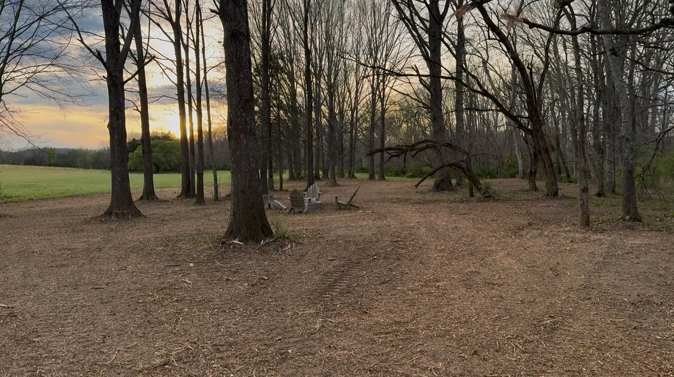 An image of The Meadow