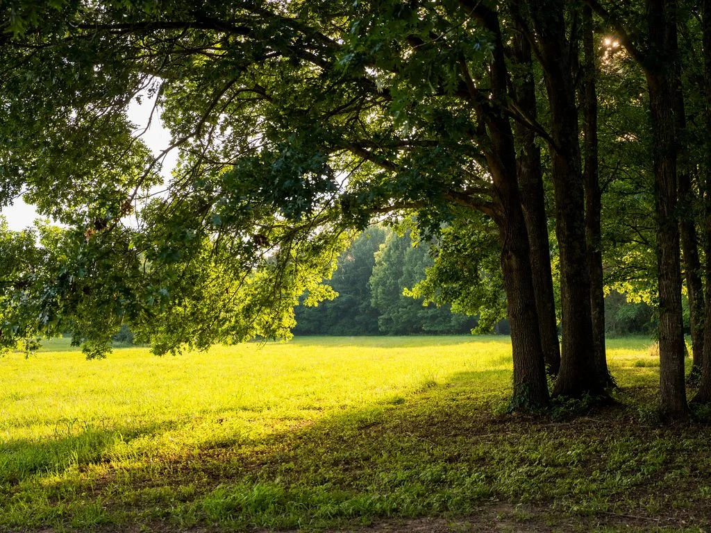 Harpeth Vale (91).jpg