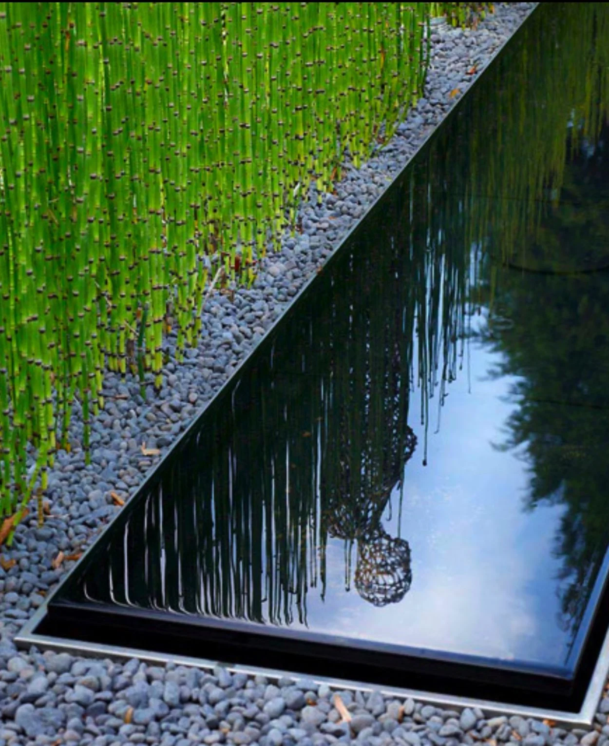 An Image of the Reflection Pond
