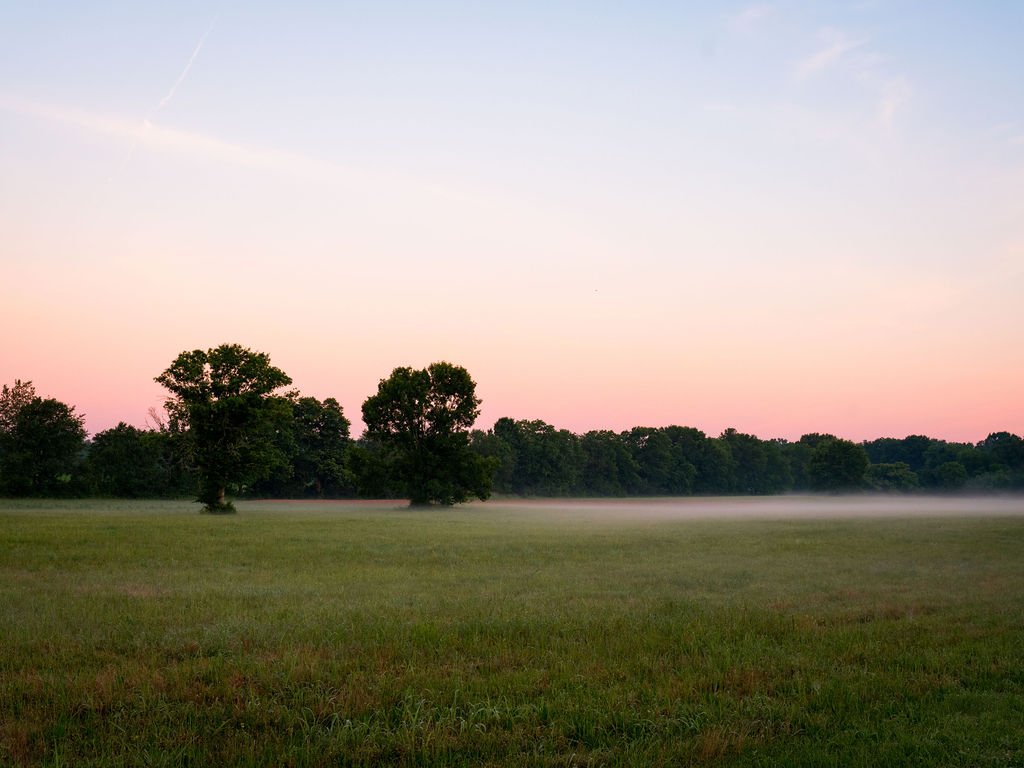 Harpeth Vale (45).jpg