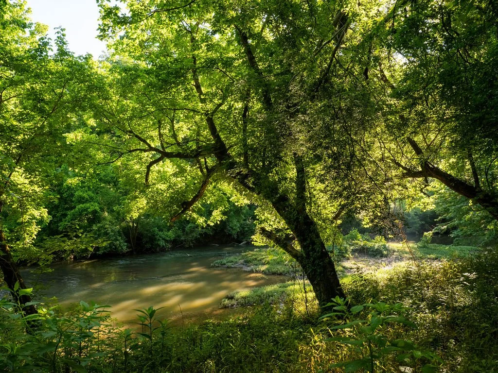 Harpeth Vale (99).jpg