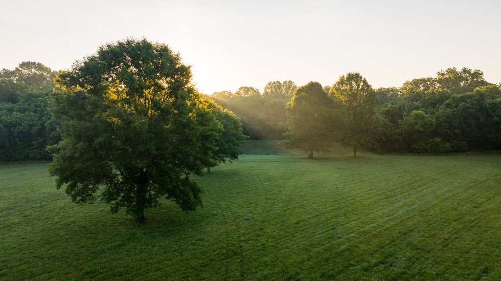 Harpeth Vale (100).jpg