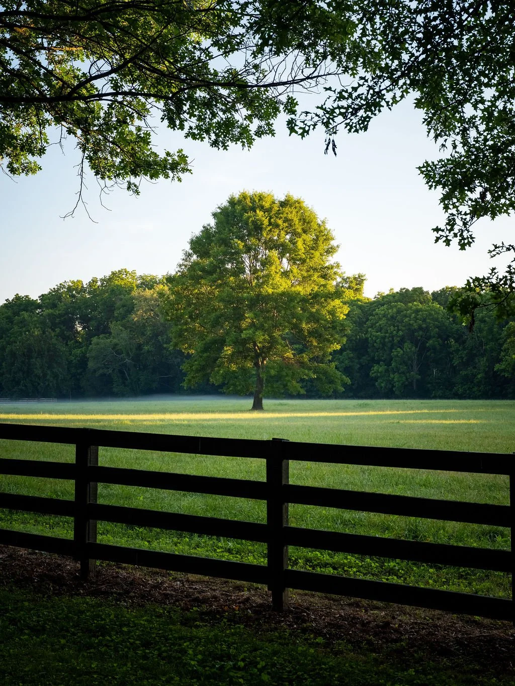 Harpeth Vale (119).jpg
