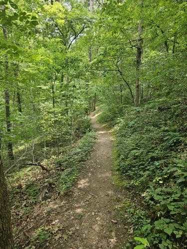 An image of Riverwalk Trail.