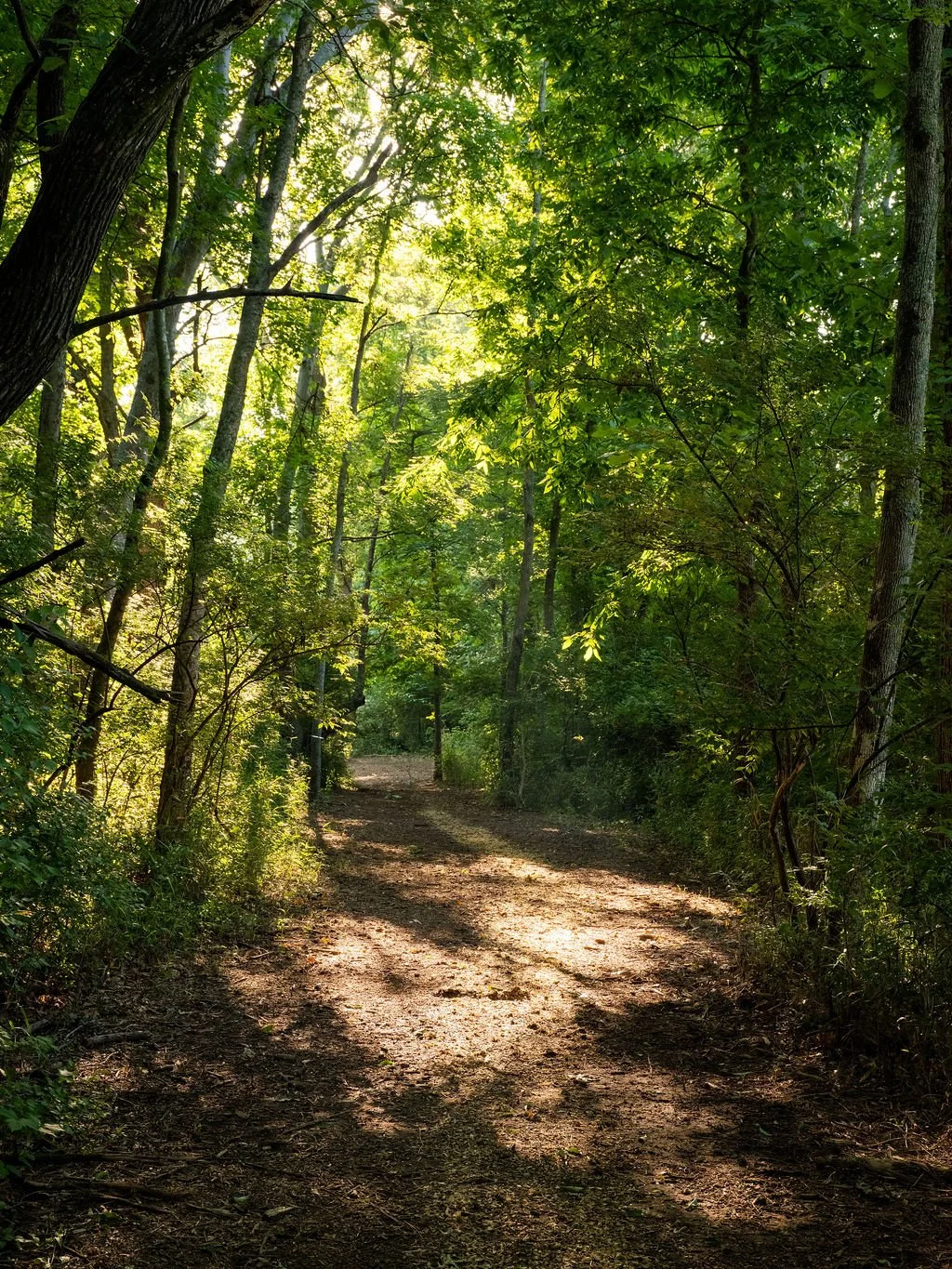 Harpeth Vale (103).jpg