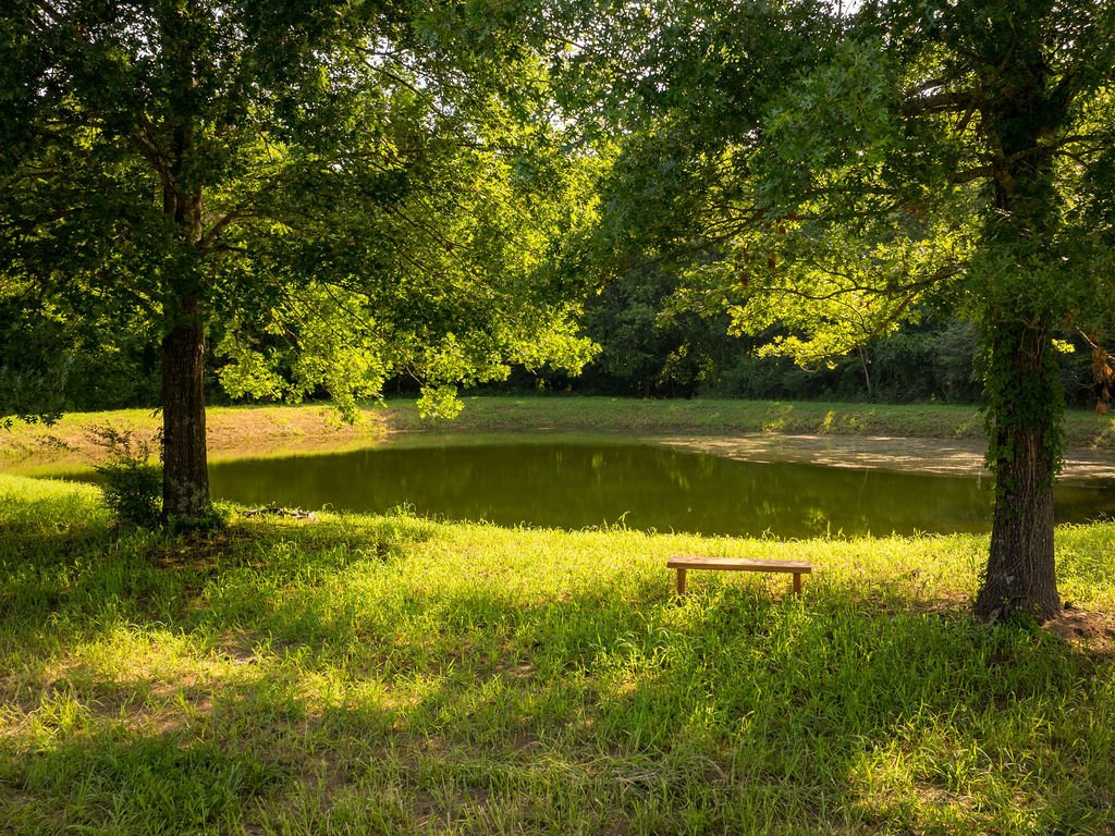 Harpeth Vale (43).jpg