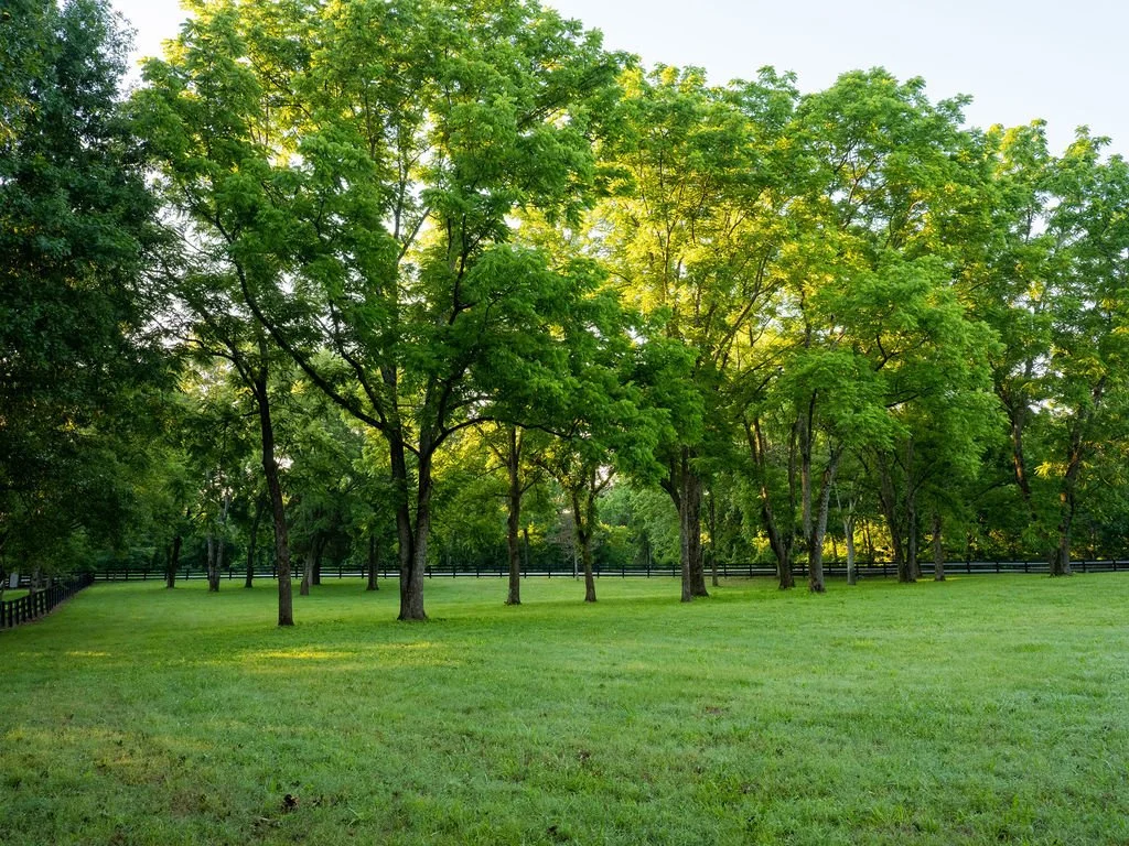 Harpeth Vale (122).jpg