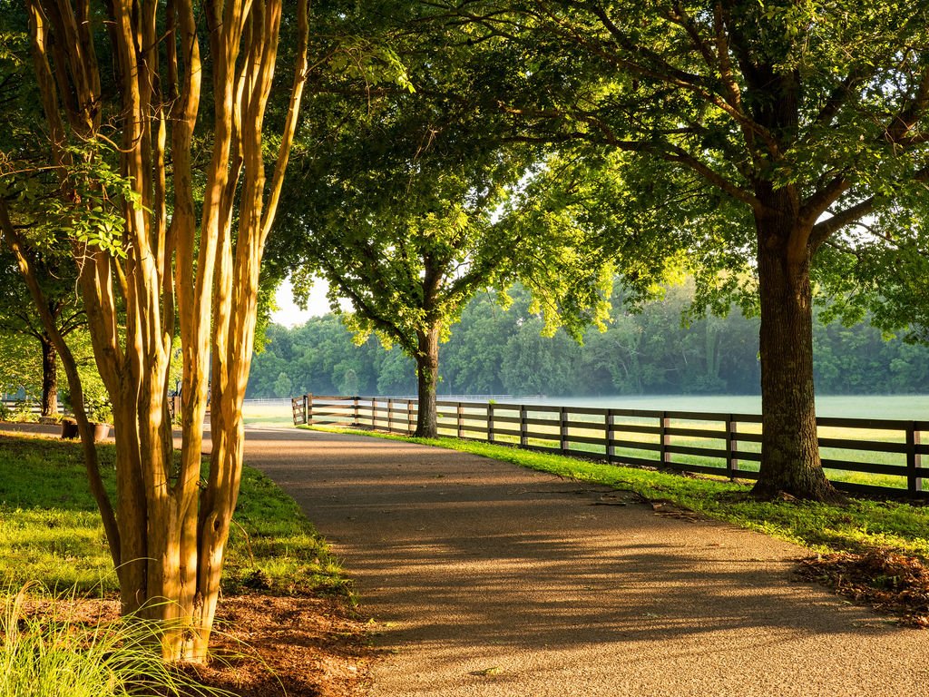 Harpeth Vale (123).jpg