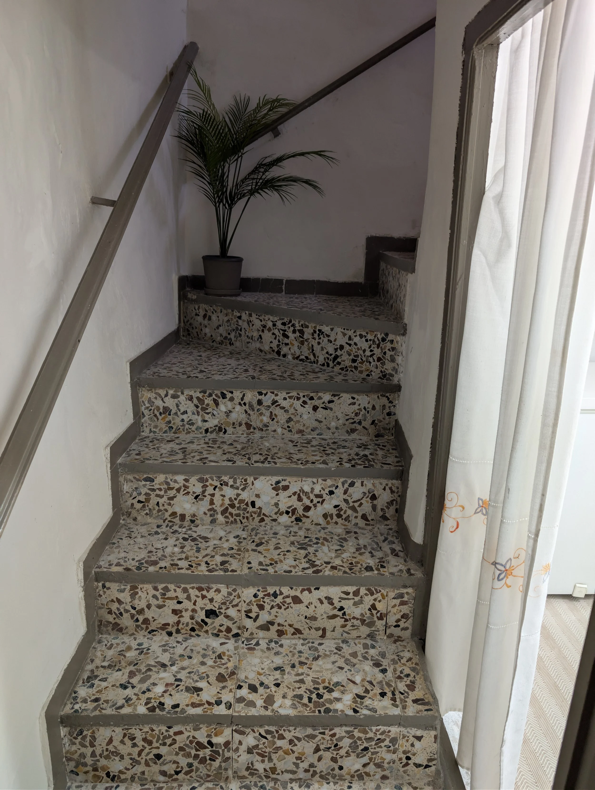 Interior staircase with terrazzo steps, a potted plant at the top, and a curtain on the right side.