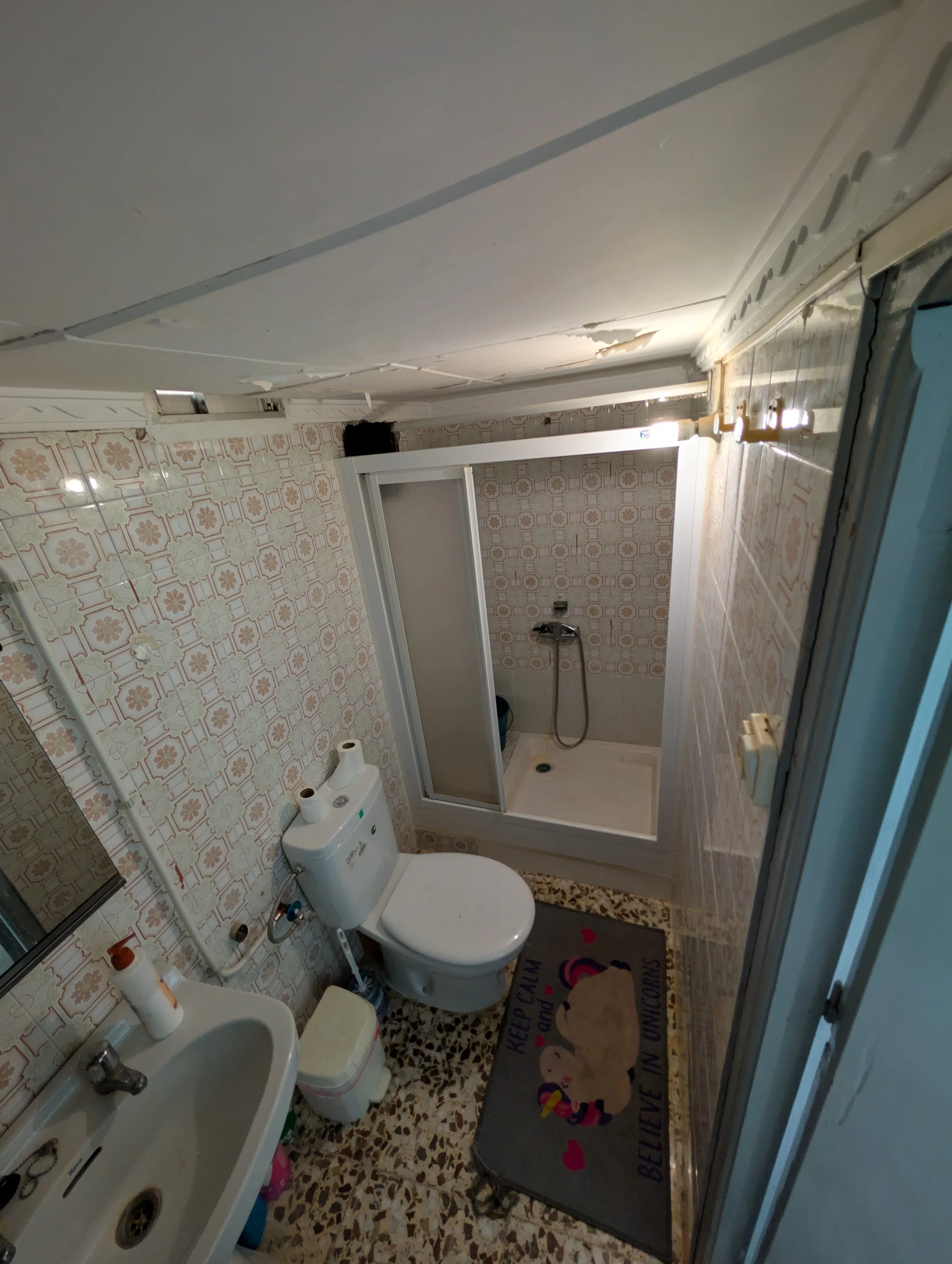 Small bathroom with patterned tiles, toilet, sink, and a shower stall with sliding door and handheld showerhead, beige and brown floor, and a humorous rug with a unicorn and the text 'Keep calm and believe in unicorns'.