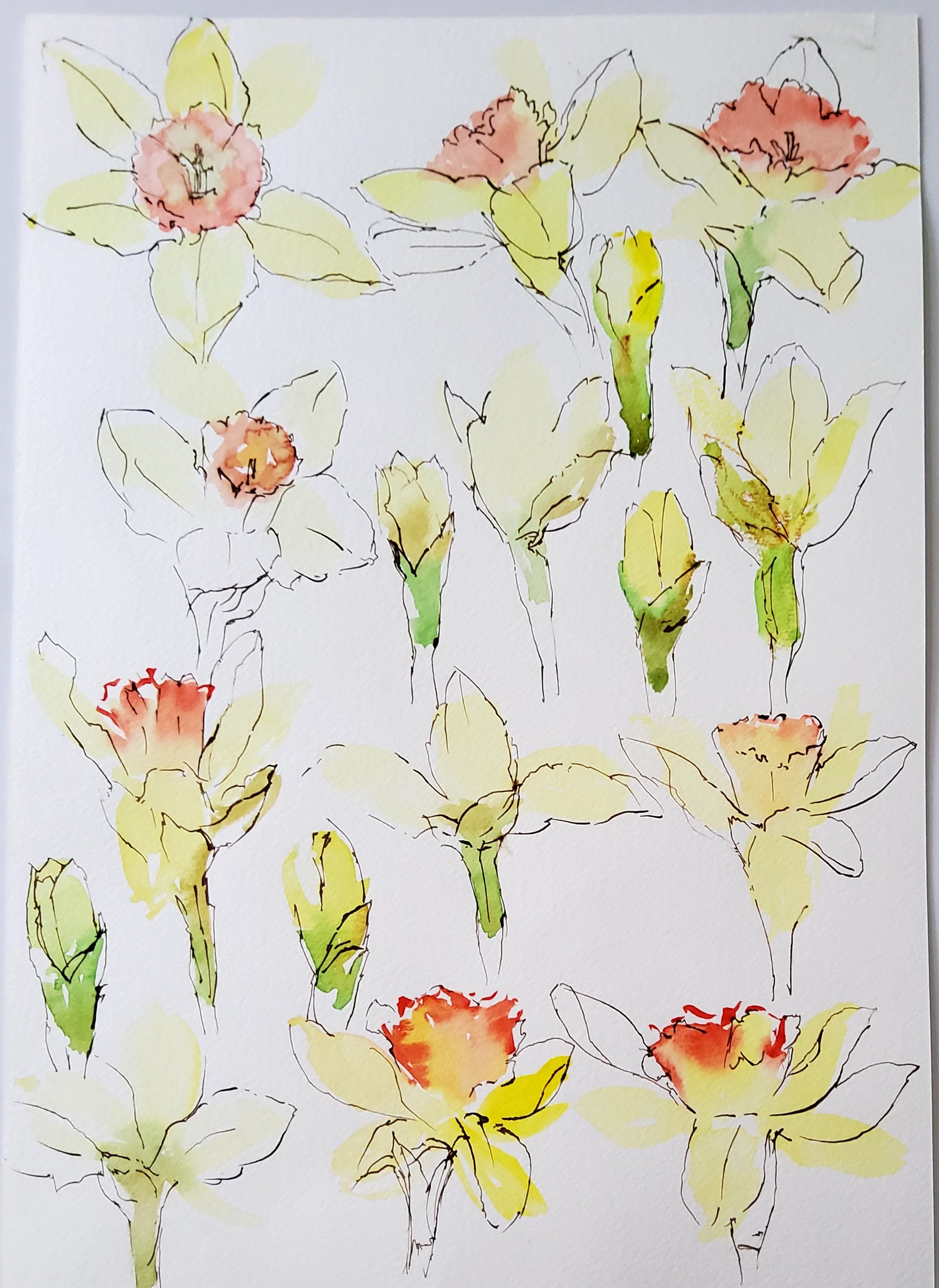 yanti - daffodils.jpg