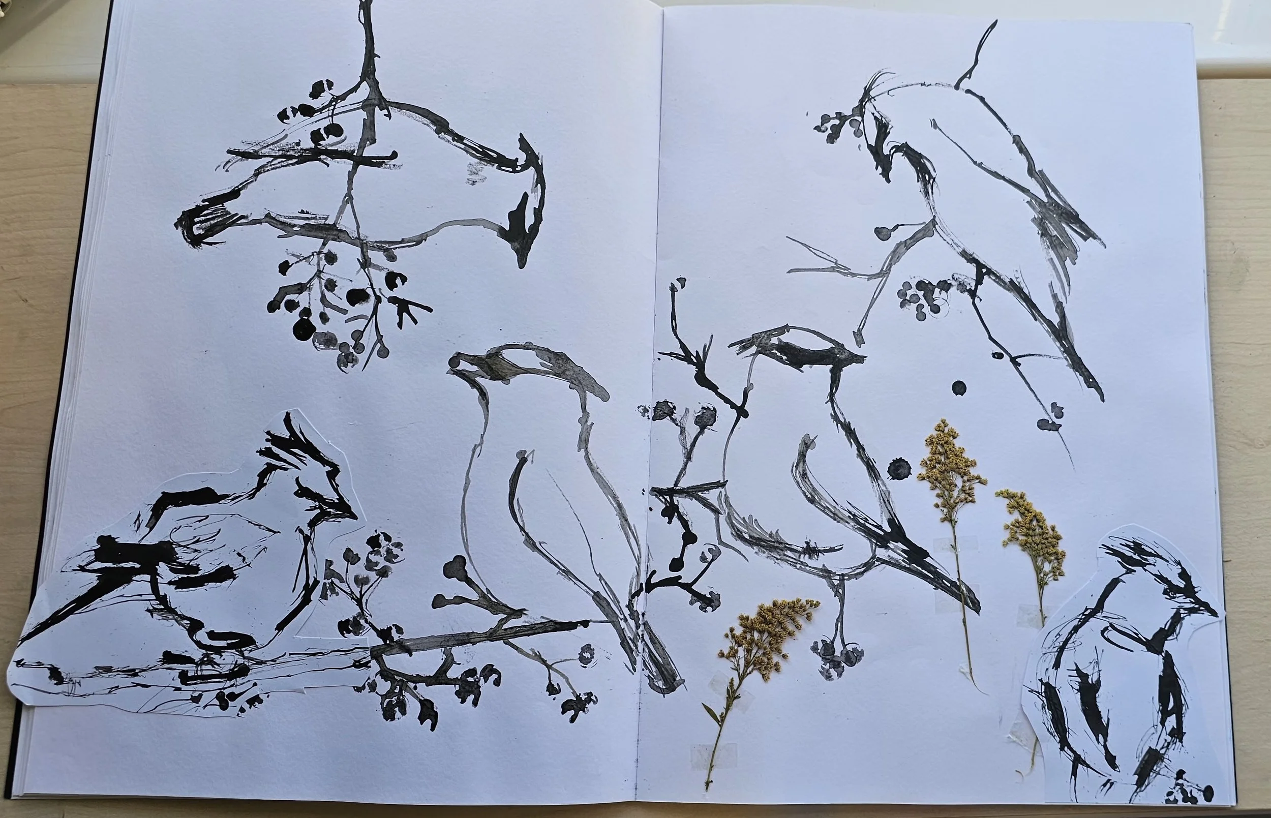 Yanti - Multiple birds.jpeg