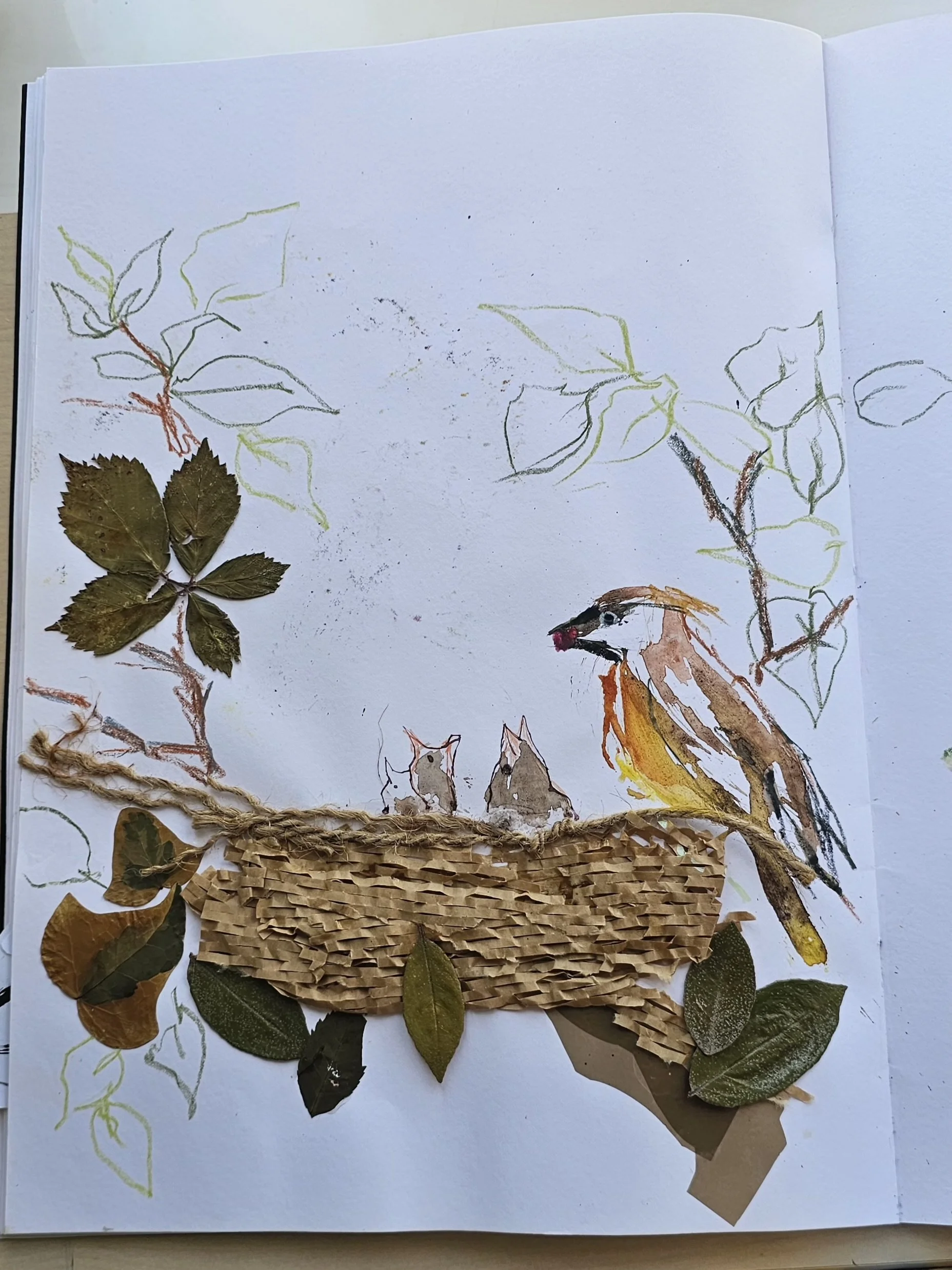 Birds