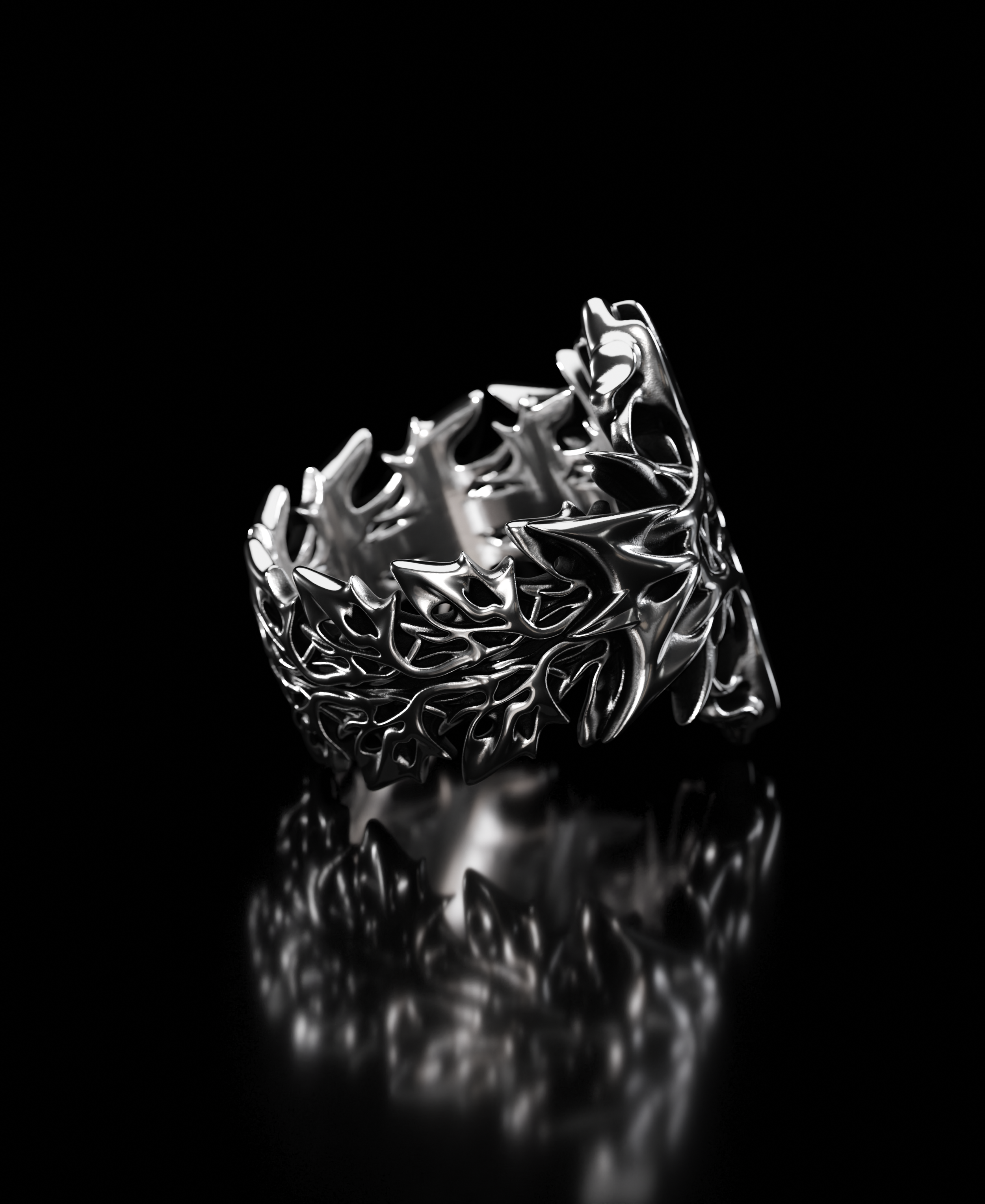 Ring2_2 (1).png