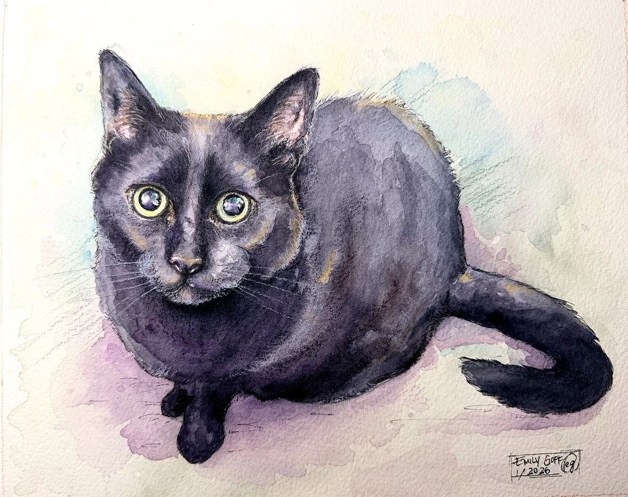 watercolor-Clarence-cat-blackcat-portrait-pet-commssion-painting-2026-emilyngoff.jpg