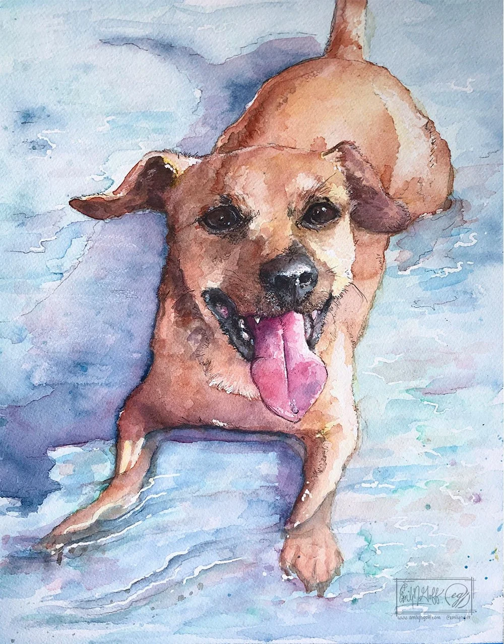 watercolor-Cami-happy-dog-in-water-tongue-out-portrait-pet-commssion-painting-2019-emilyngoff.jpg