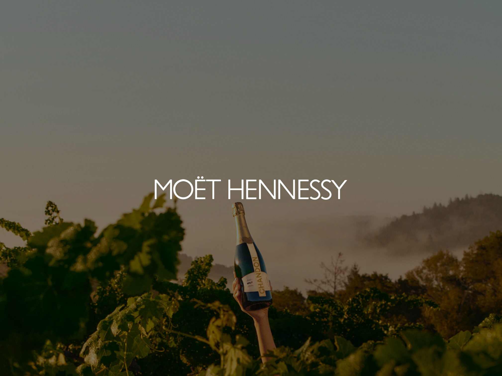 Moët Hennessy - Catalogue de référence produit