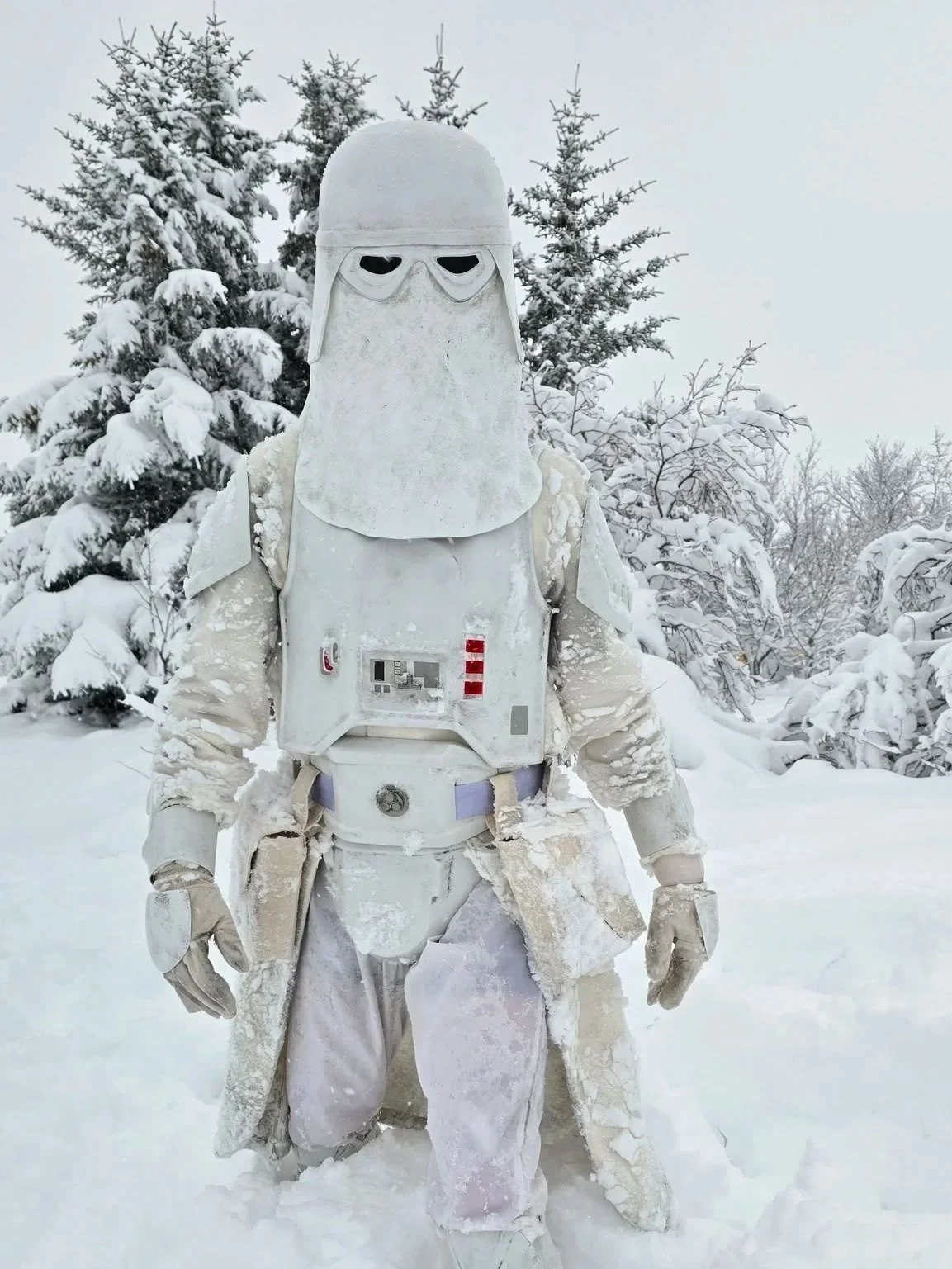 Person dressed as a Star Wars AT-AT driver in a snow-covered landscape with snow-covered trees in the background.